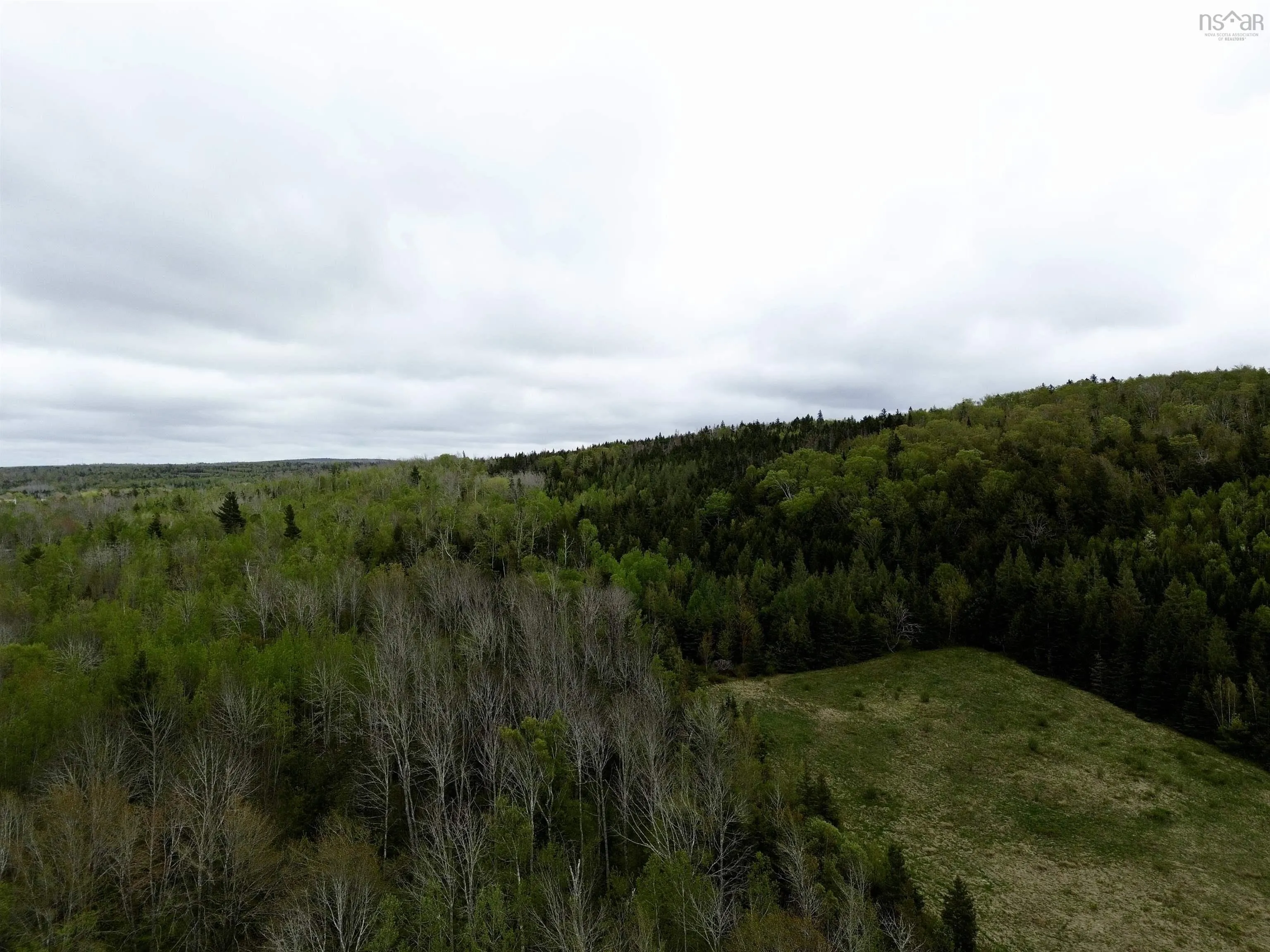 Balmoral Road, New Annan, NS B0K 1V0, ,Land,For Sale,Balmoral Road,202511918