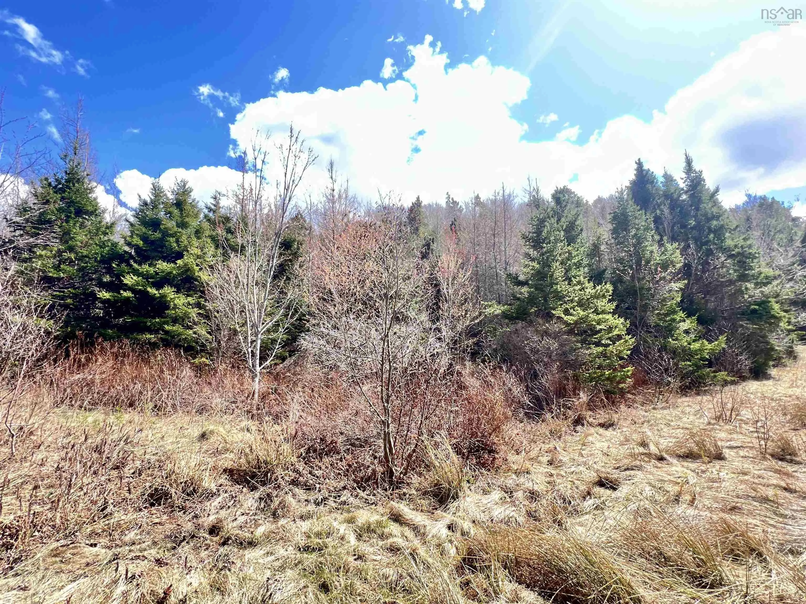 Balmoral Road, New Annan, NS B0K 1V0, ,Land,For Sale,Balmoral Road,202511918