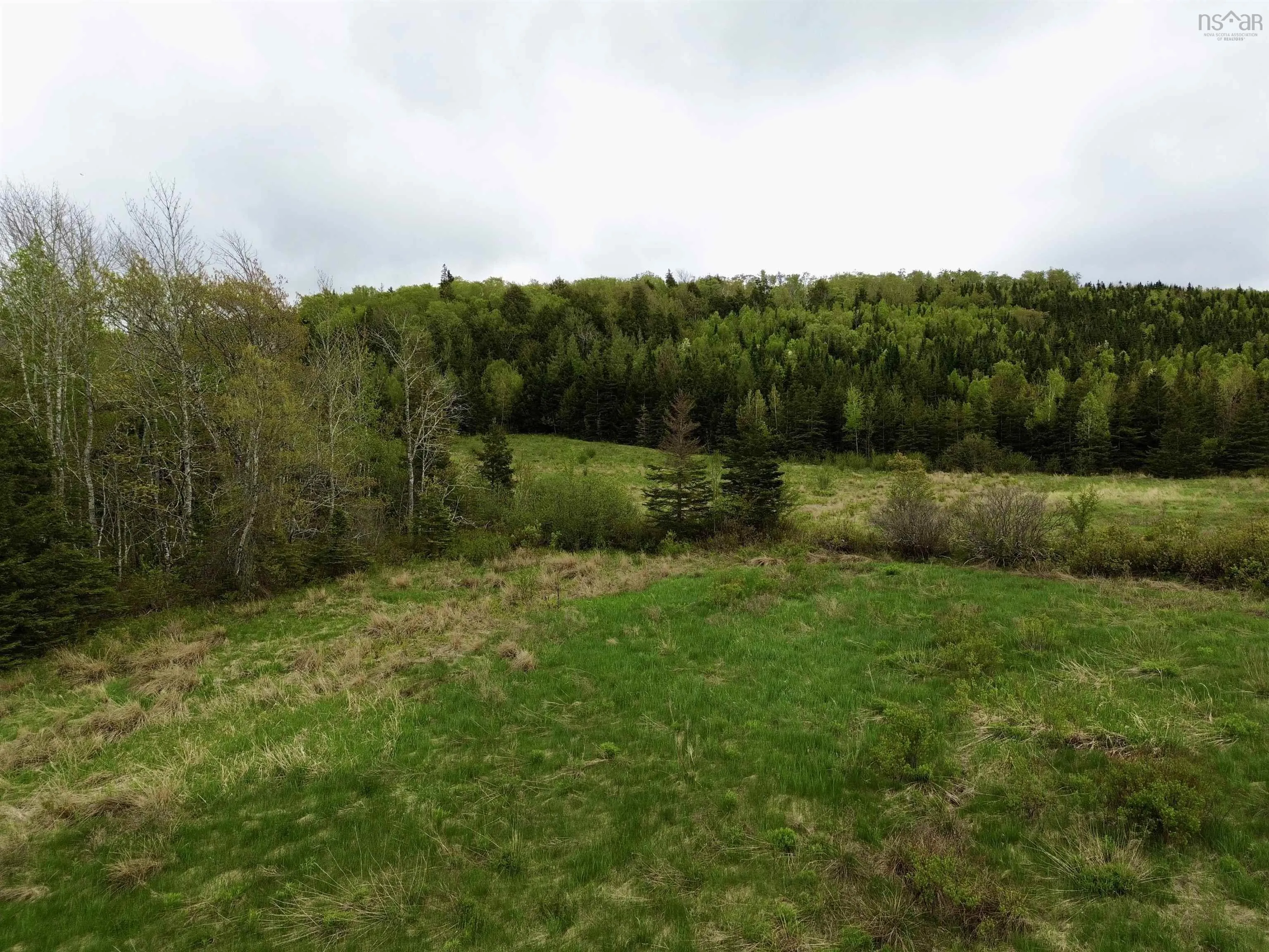 Balmoral Road, New Annan, NS B0K 1V0, ,Land,For Sale,Balmoral Road,202511918
