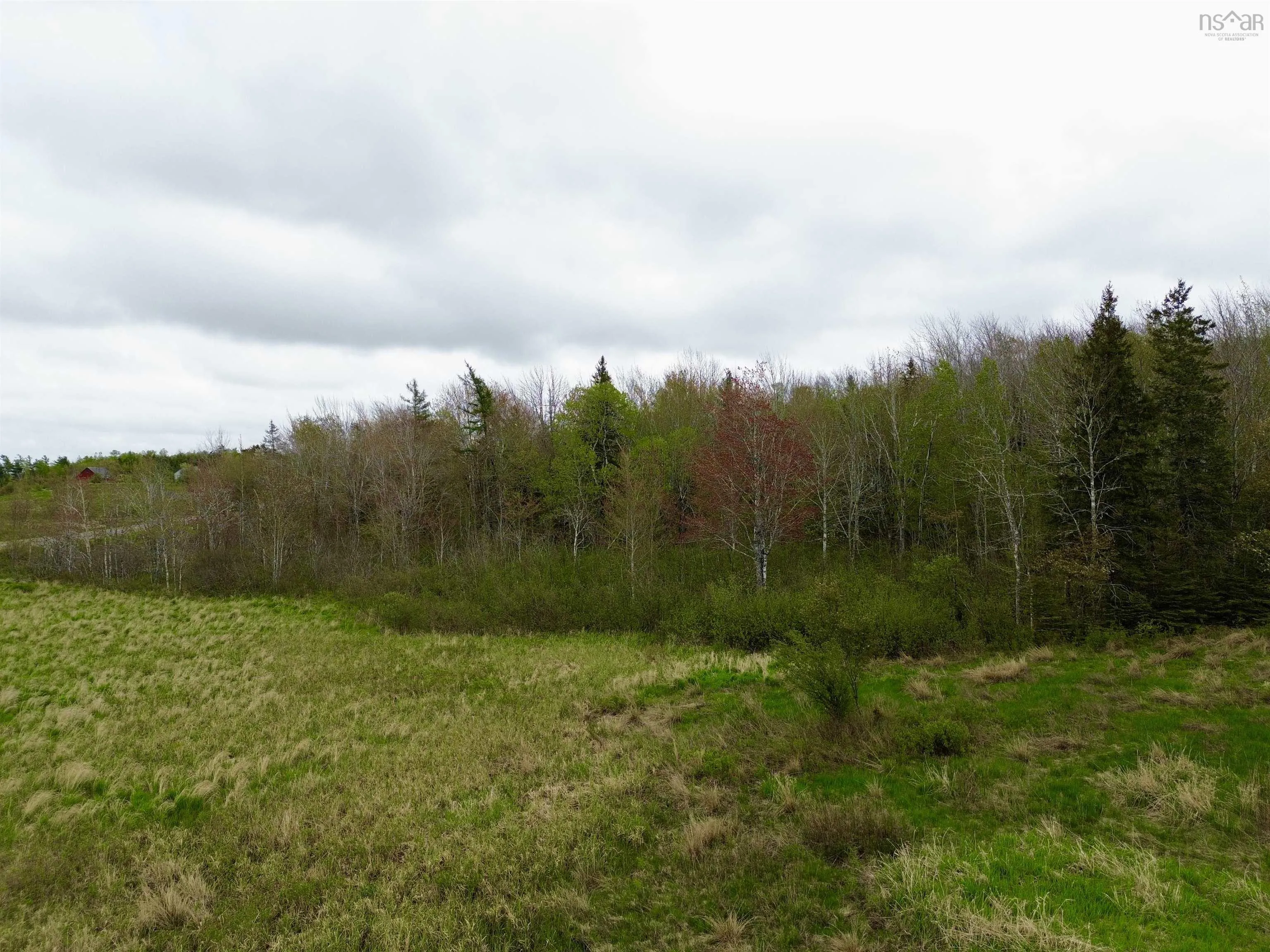 Balmoral Road, New Annan, NS B0K 1V0, ,Land,For Sale,Balmoral Road,202511918