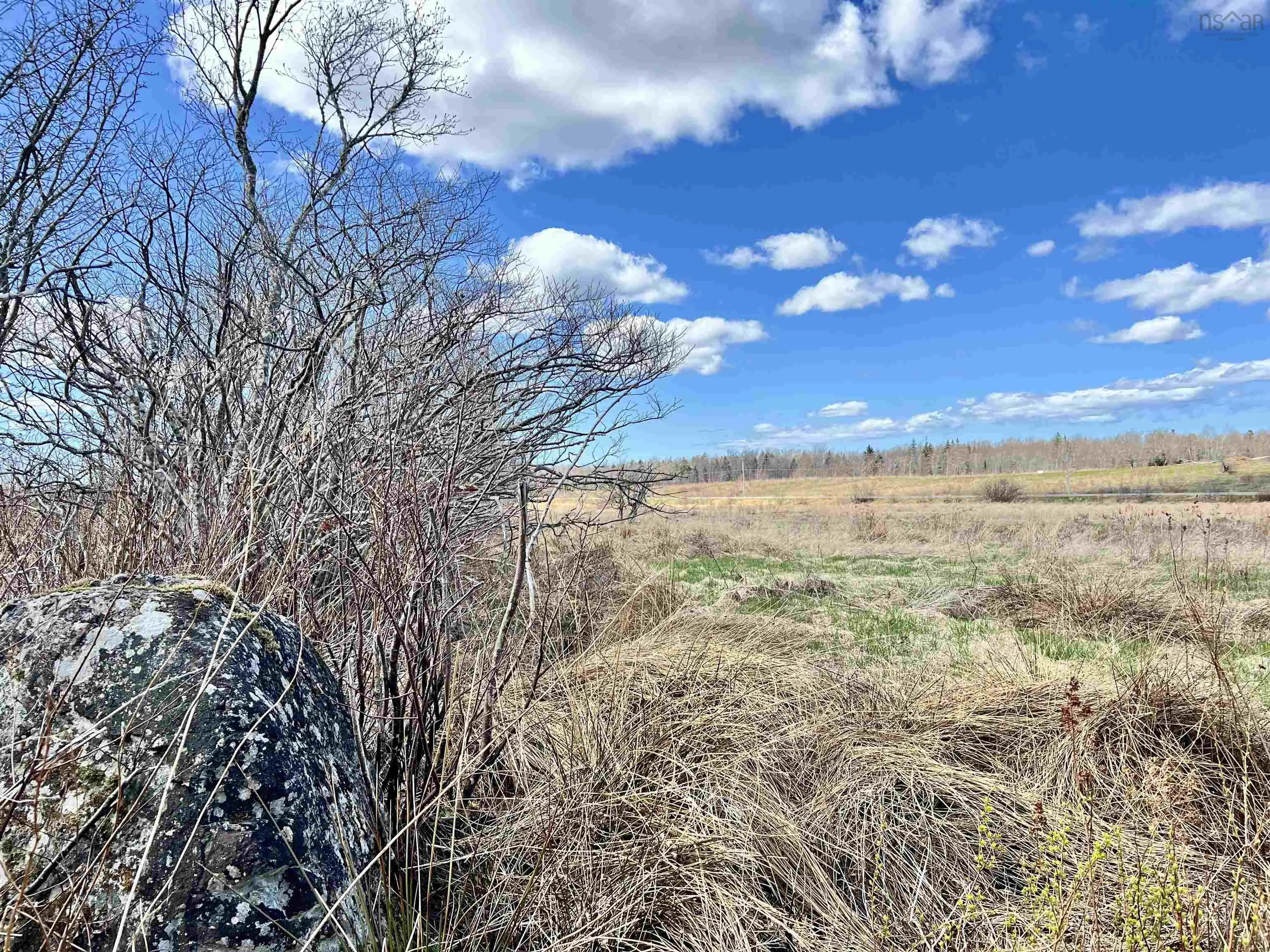 Balmoral Road, New Annan, NS B0K 1V0, ,Land,For Sale,Balmoral Road,202511918
