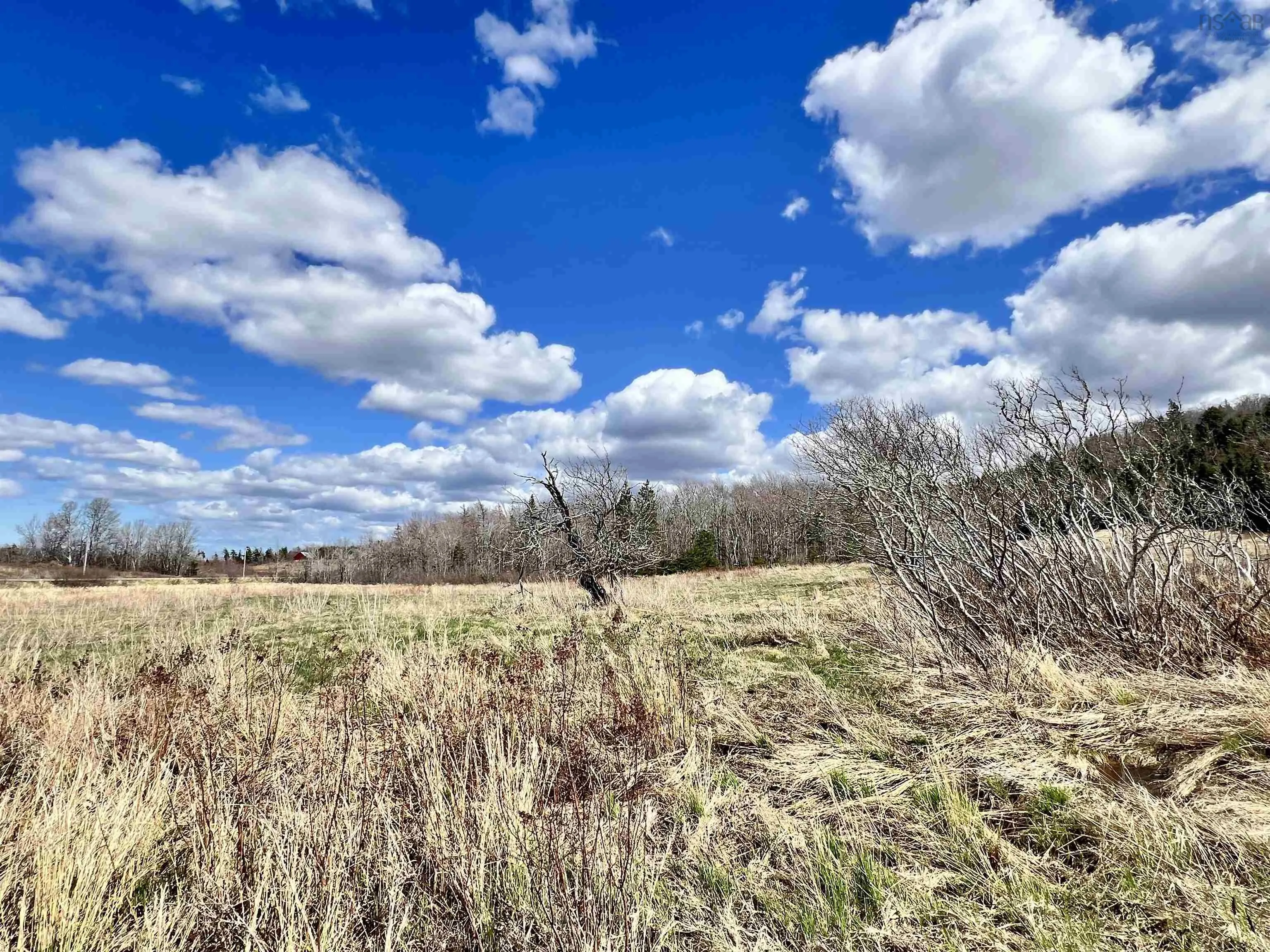 Balmoral Road, New Annan, NS B0K 1V0, ,Land,For Sale,Balmoral Road,202511918