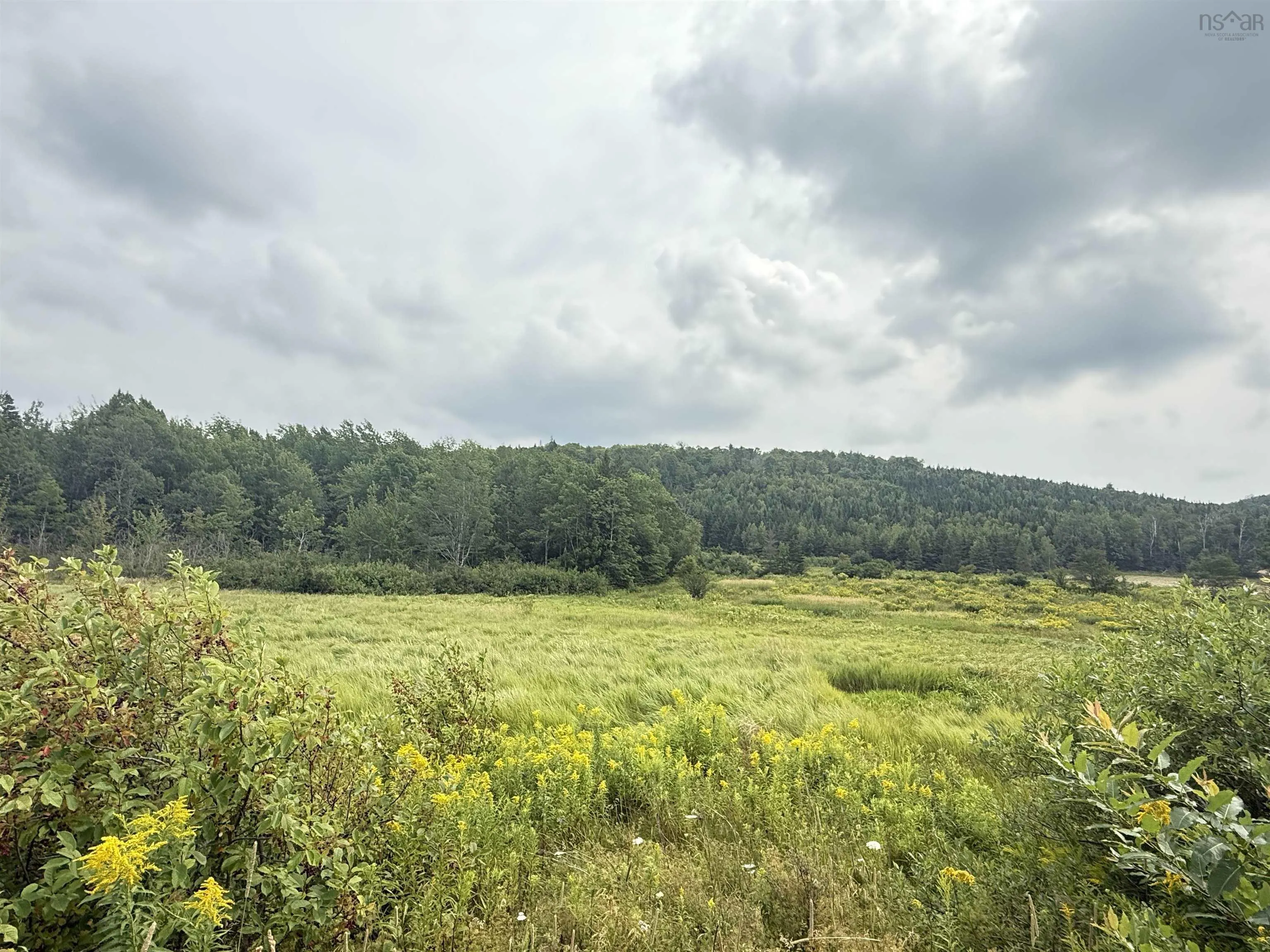 Balmoral Road, New Annan, NS B0K 1V0, ,Land,For Sale,Balmoral Road,202511918