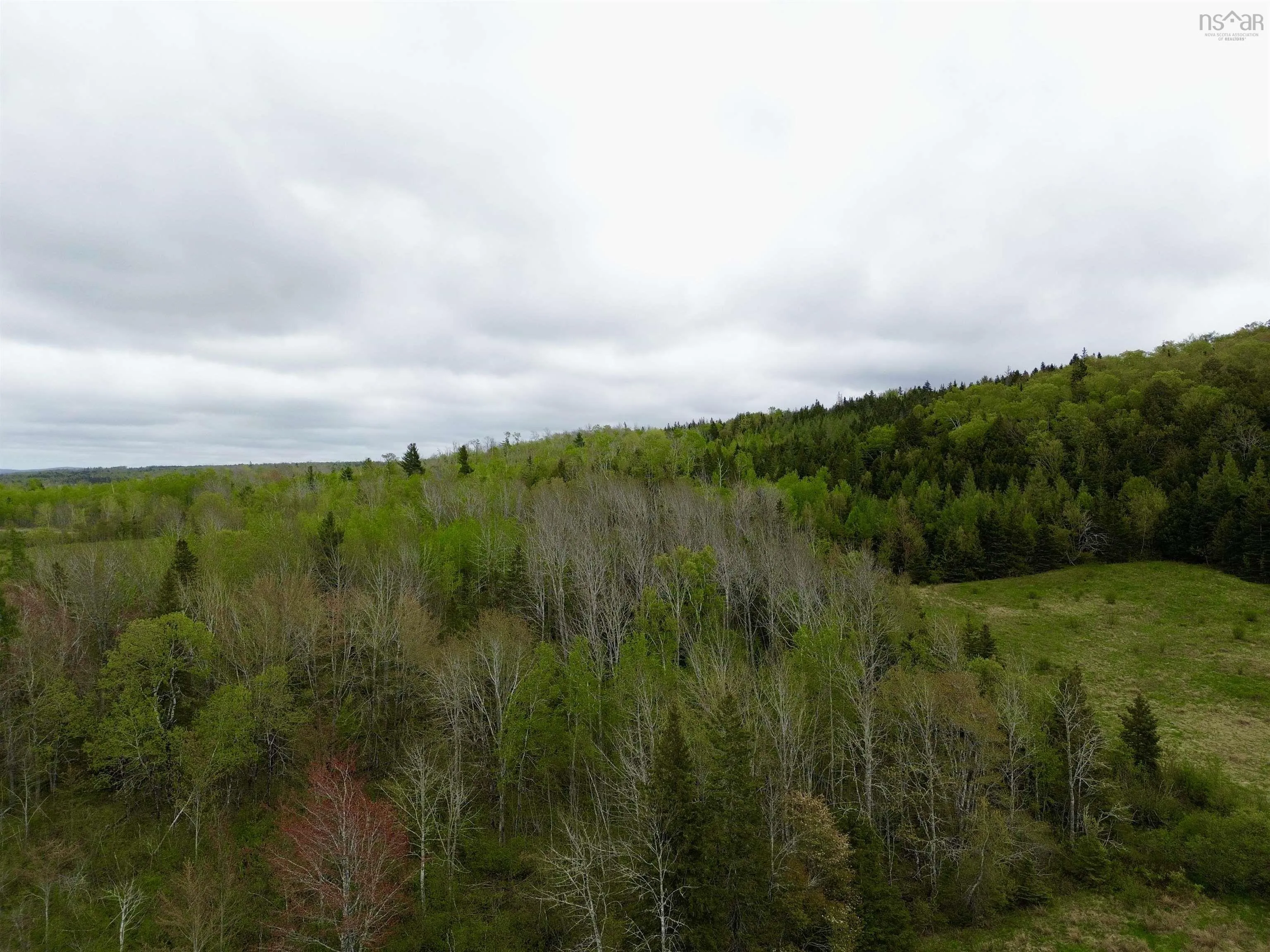 Balmoral Road, New Annan, NS B0K 1V0, ,Land,For Sale,Balmoral Road,202511918