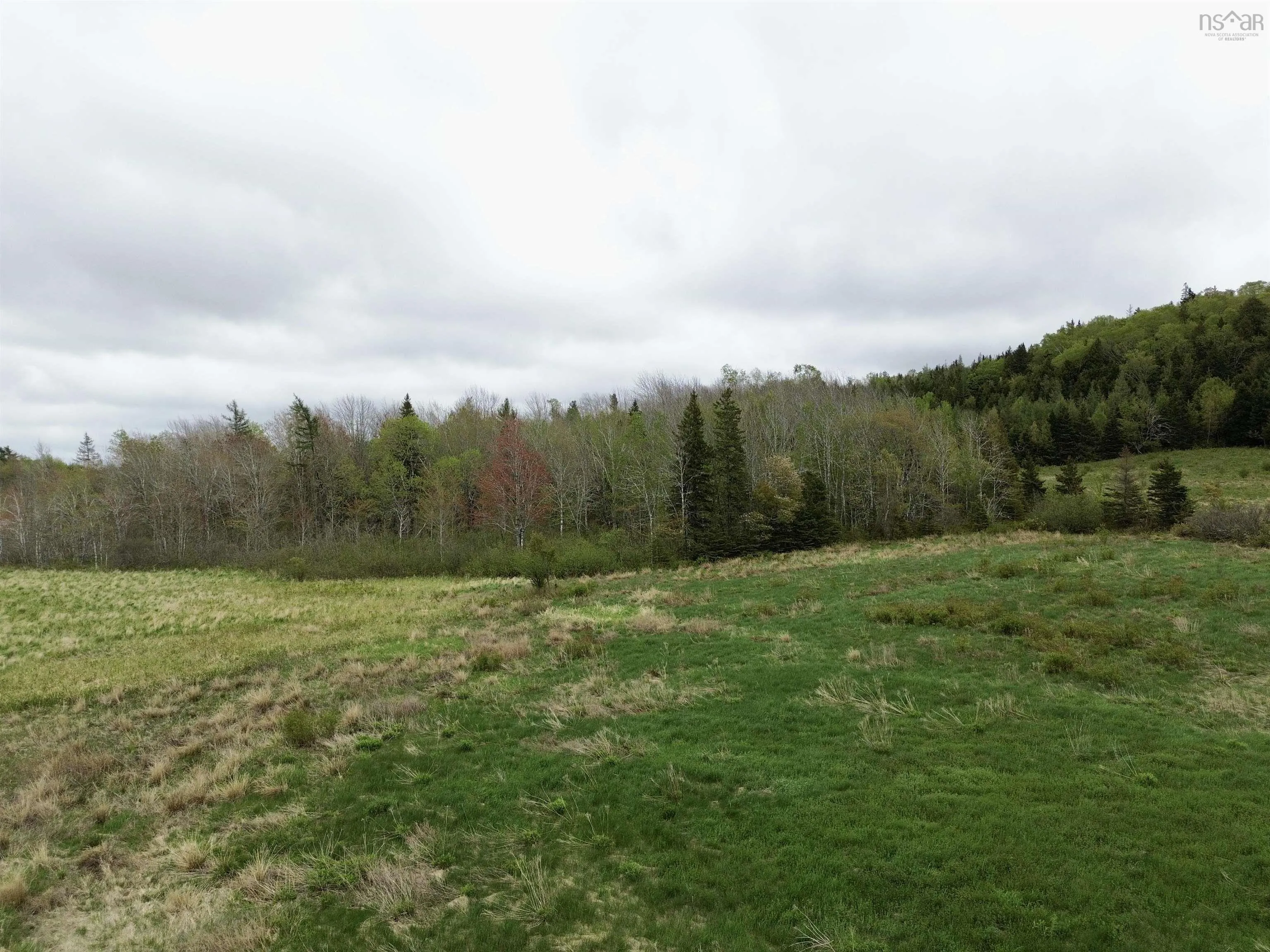 Balmoral Road, New Annan, NS B0K 1V0, ,Land,For Sale,Balmoral Road,202511918