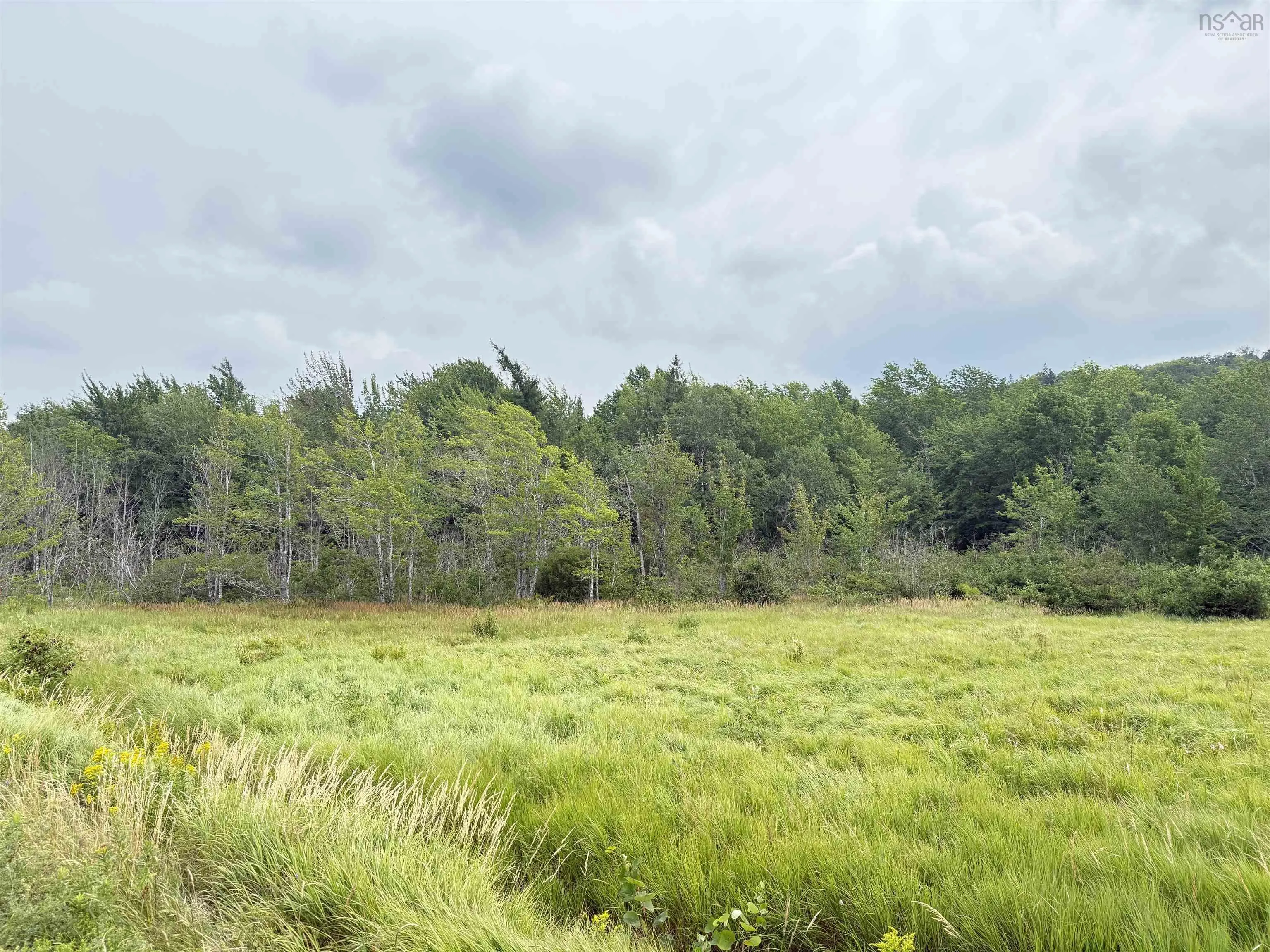 Balmoral Road, New Annan, NS B0K 1V0, ,Land,For Sale,Balmoral Road,202511918
