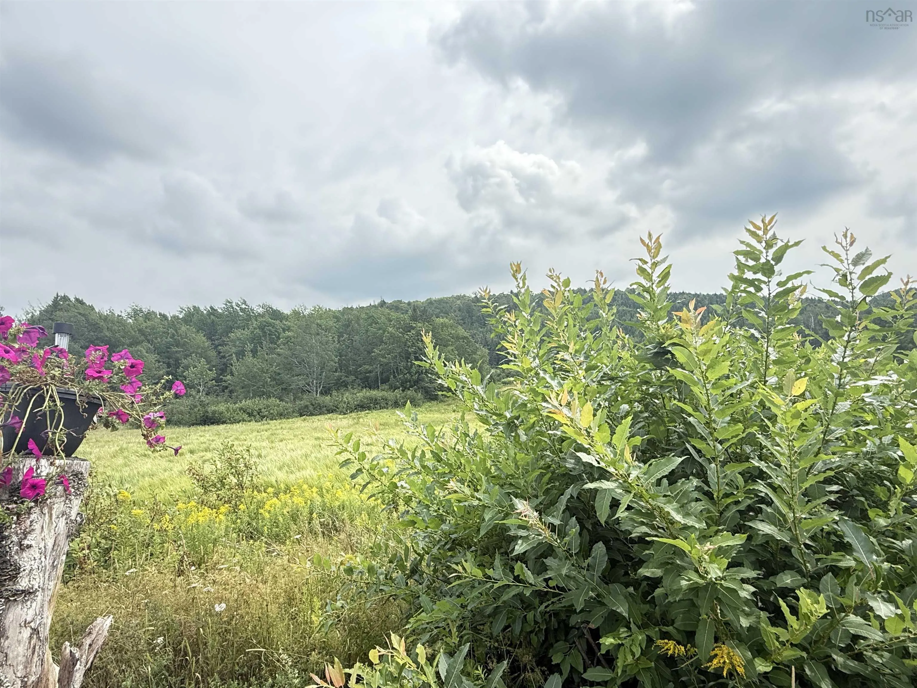 Balmoral Road, New Annan, NS B0K 1V0, ,Land,For Sale,Balmoral Road,202511918