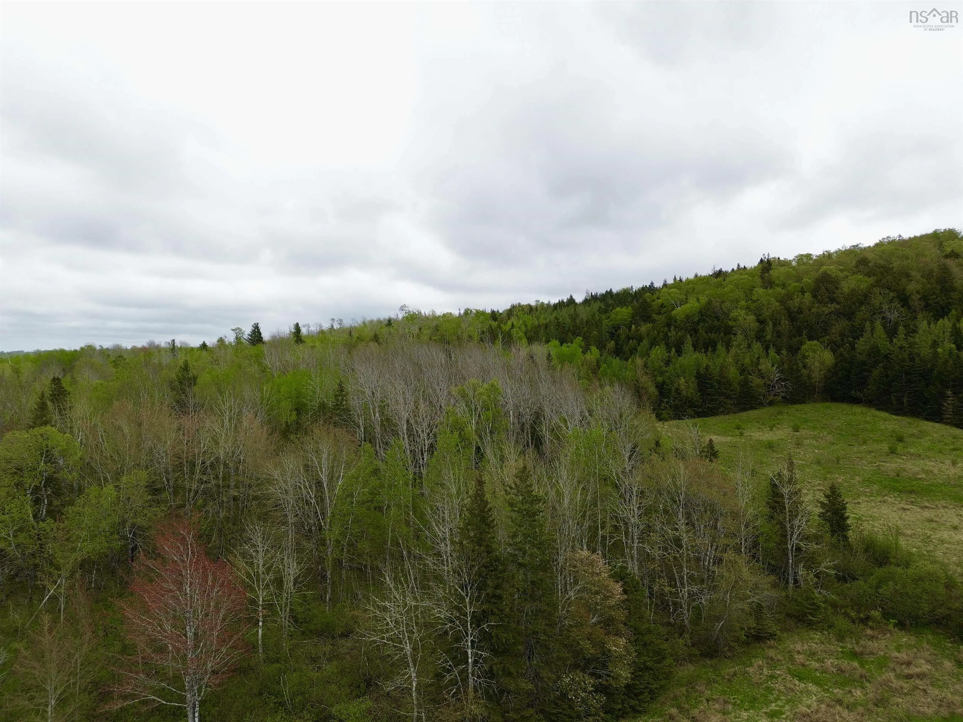 Balmoral Road, New Annan, NS B0K 1V0, ,Land,For Sale,Balmoral Road,202511918