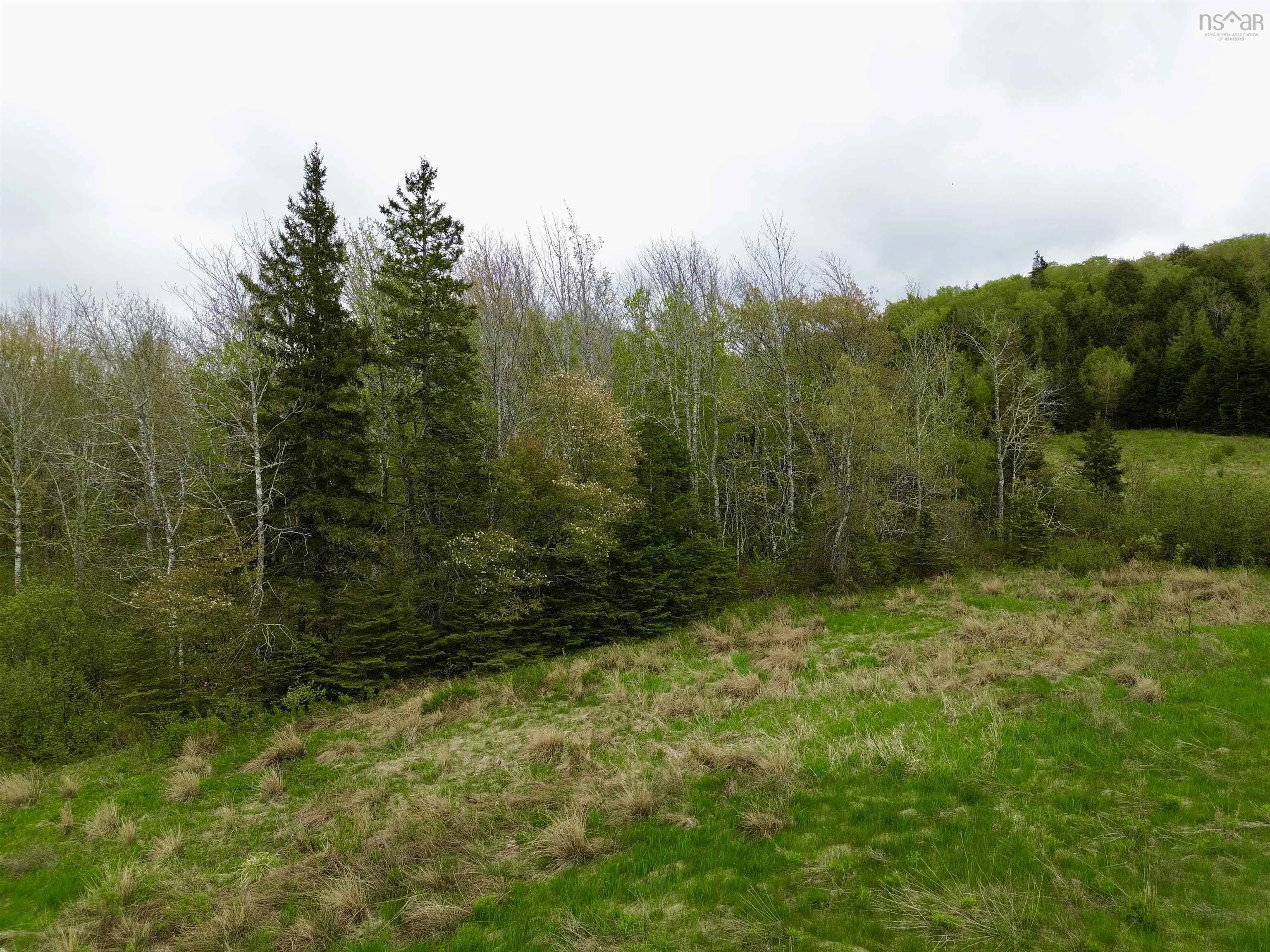 Balmoral Road, New Annan, NS B0K 1V0, ,Land,For Sale,Balmoral Road,202511918