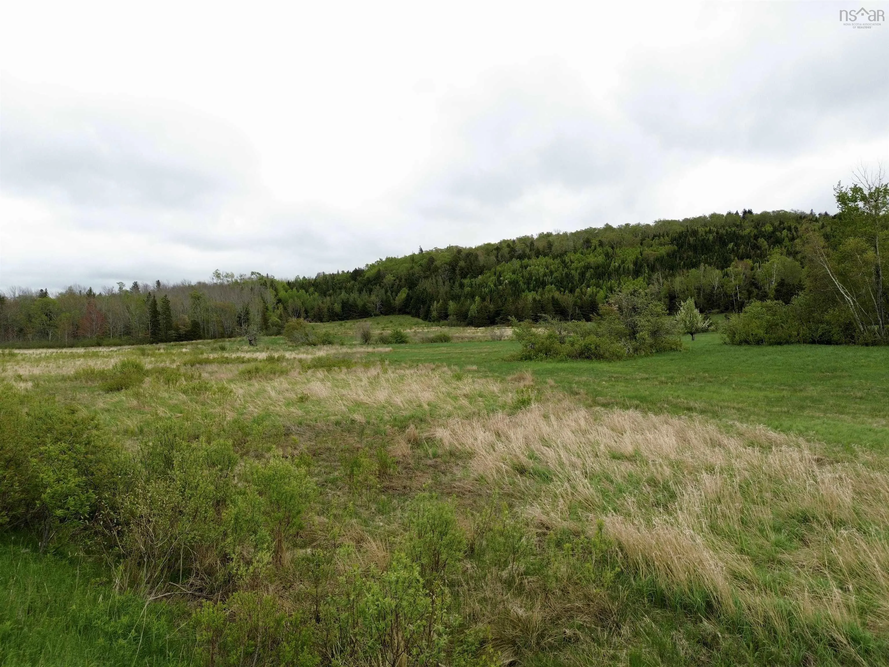 Balmoral Road, New Annan, NS B0K 1V0, ,Land,For Sale,Balmoral Road,202511918