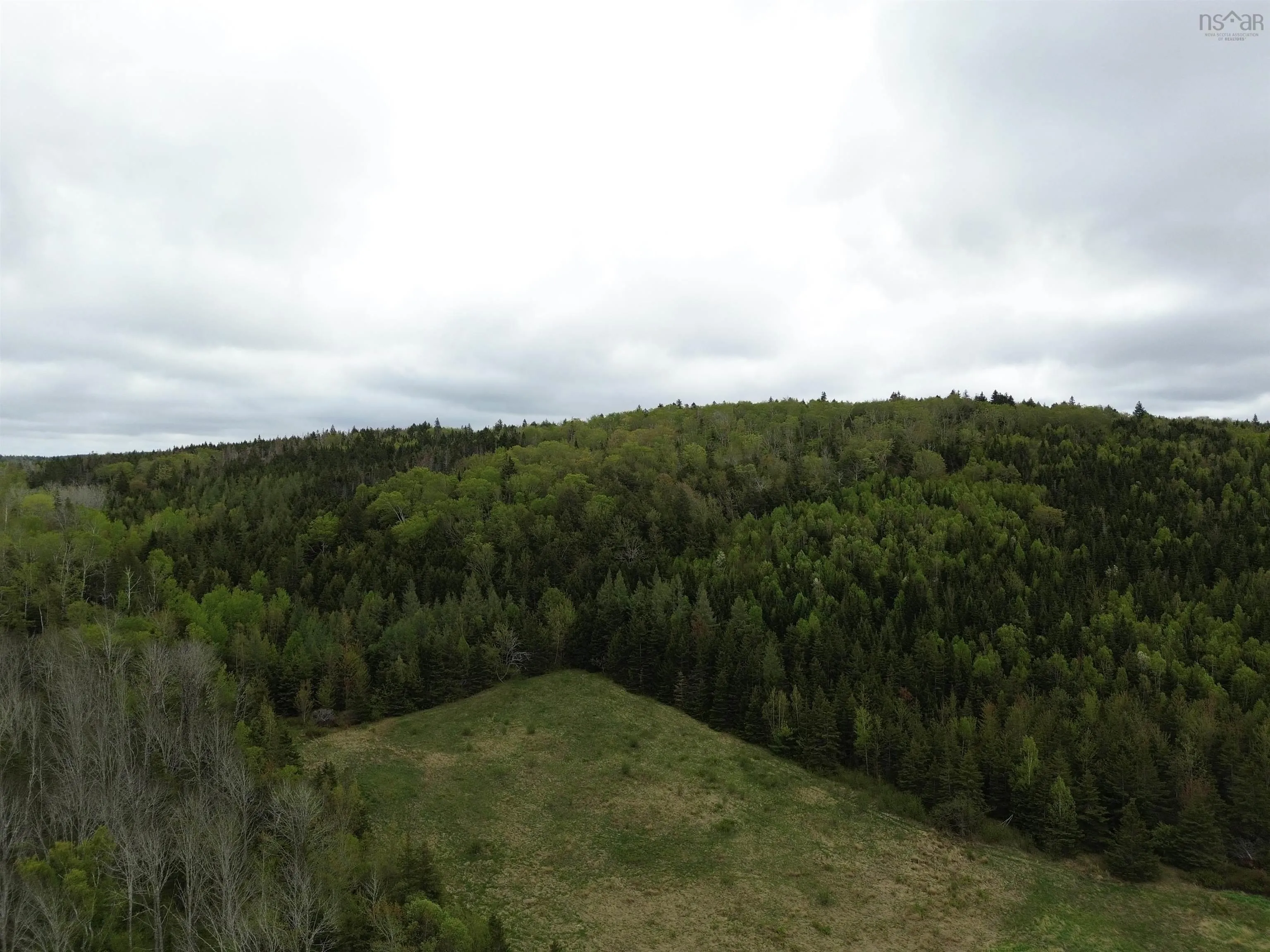 Balmoral Road, New Annan, NS B0K 1V0, ,Land,For Sale,Balmoral Road,202511918