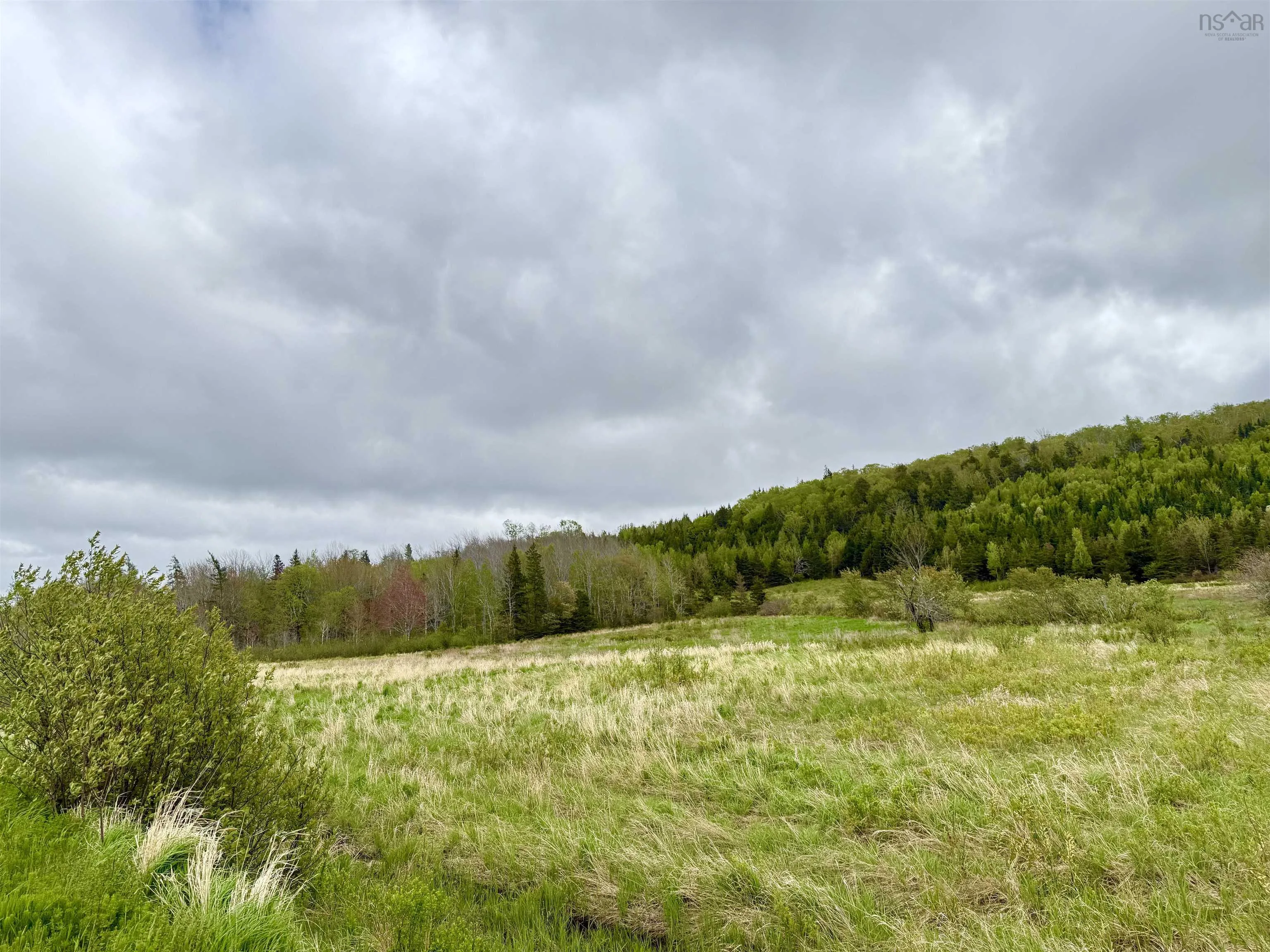 Balmoral Road, New Annan, NS B0K 1V0, ,Land,For Sale,Balmoral Road,202511918