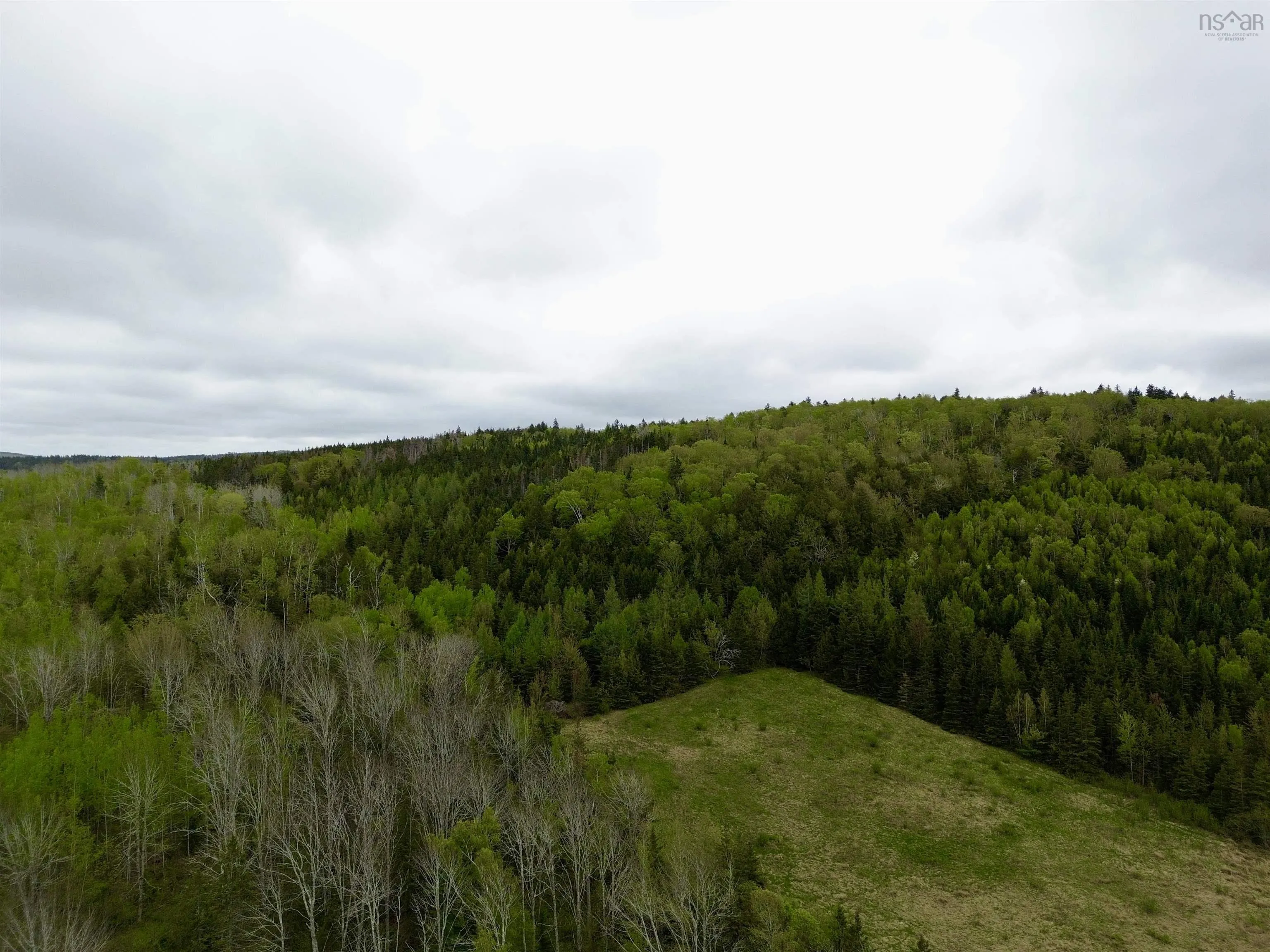 Balmoral Road, New Annan, NS B0K 1V0, ,Land,For Sale,Balmoral Road,202511918