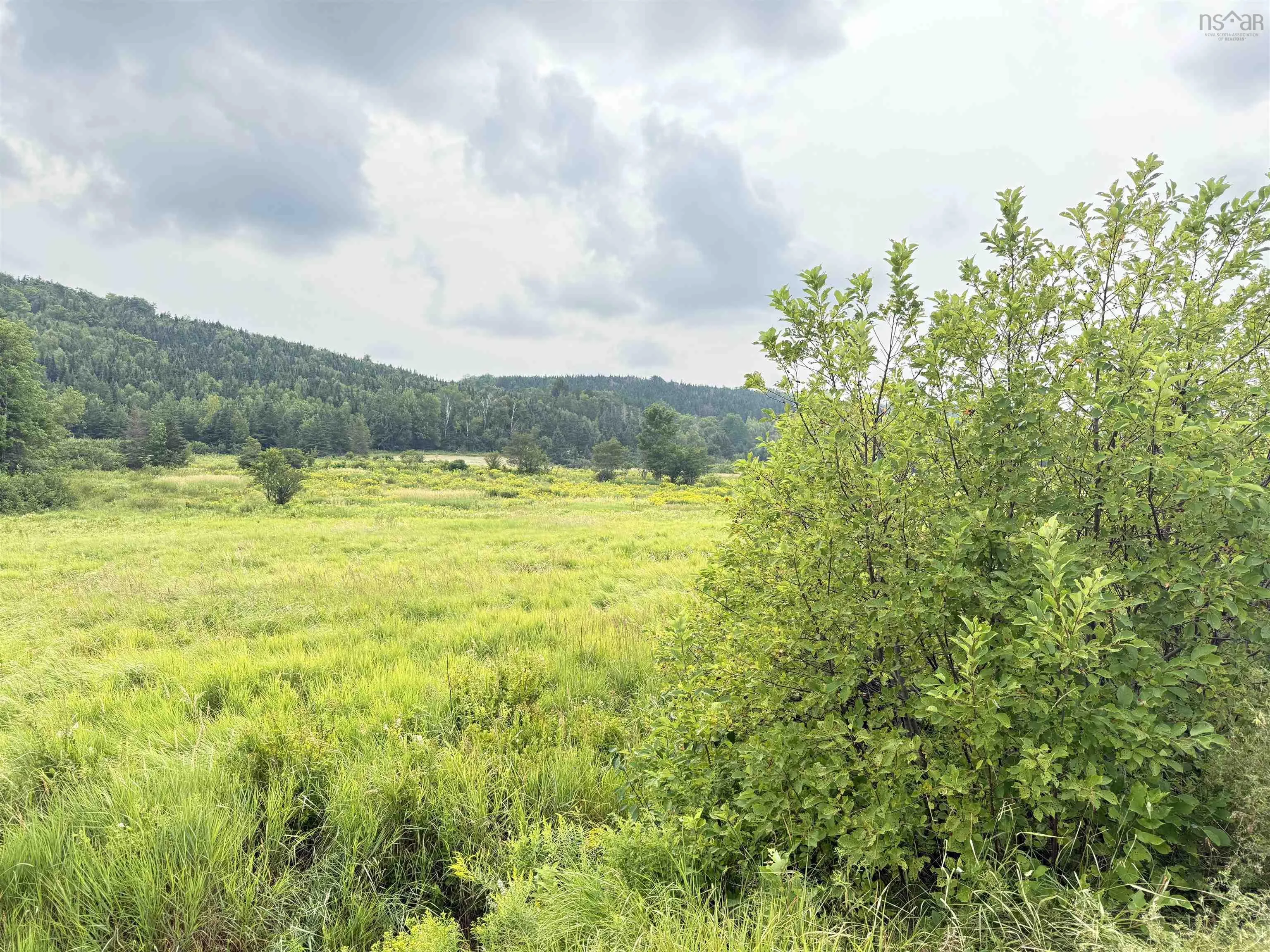 Balmoral Road, New Annan, NS B0K 1V0, ,Land,For Sale,Balmoral Road,202511918