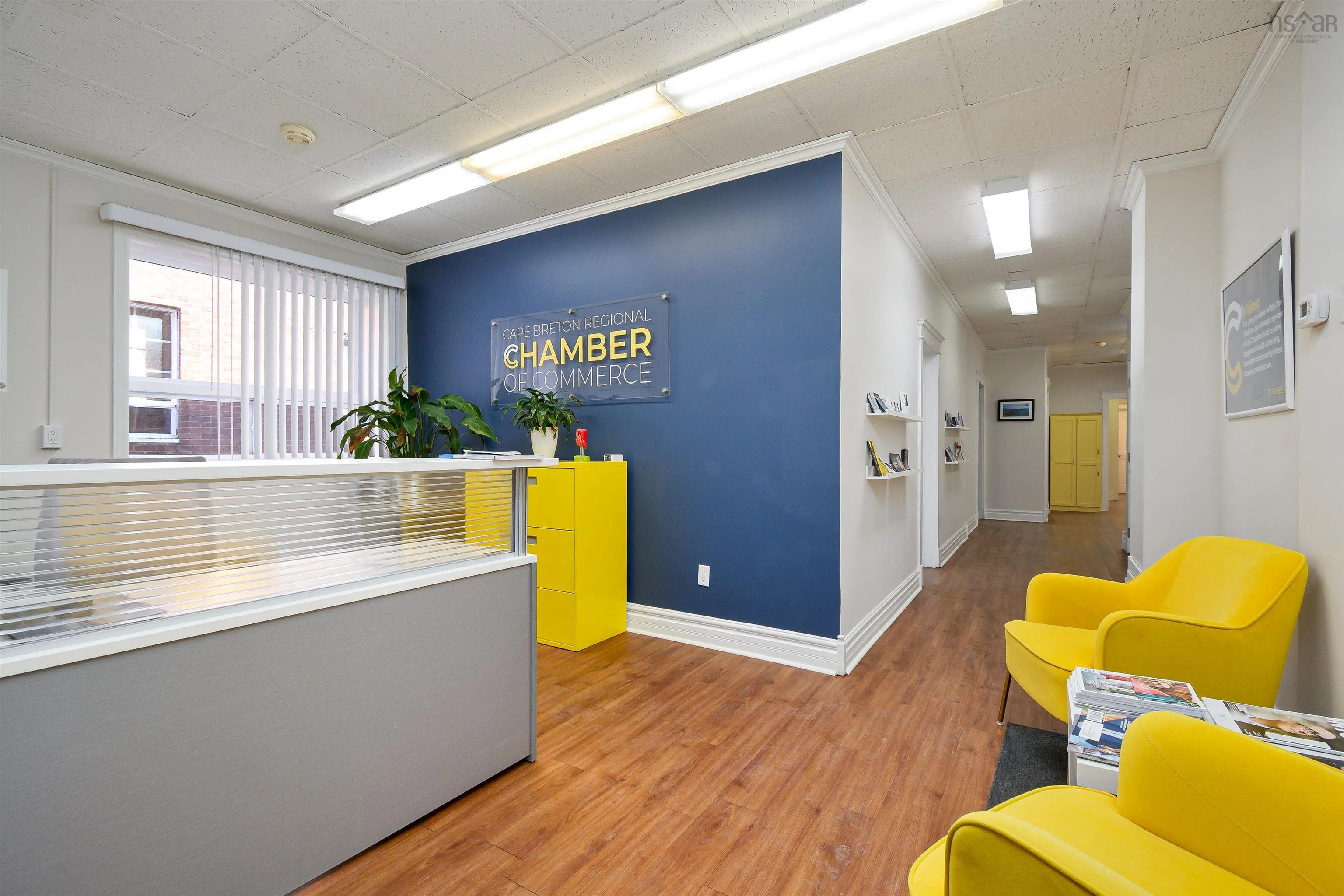 50 Dorchester Street, Sydney Ns B1p 5z1, ,Commercial Sale,For Sale,Dorchester,202505341