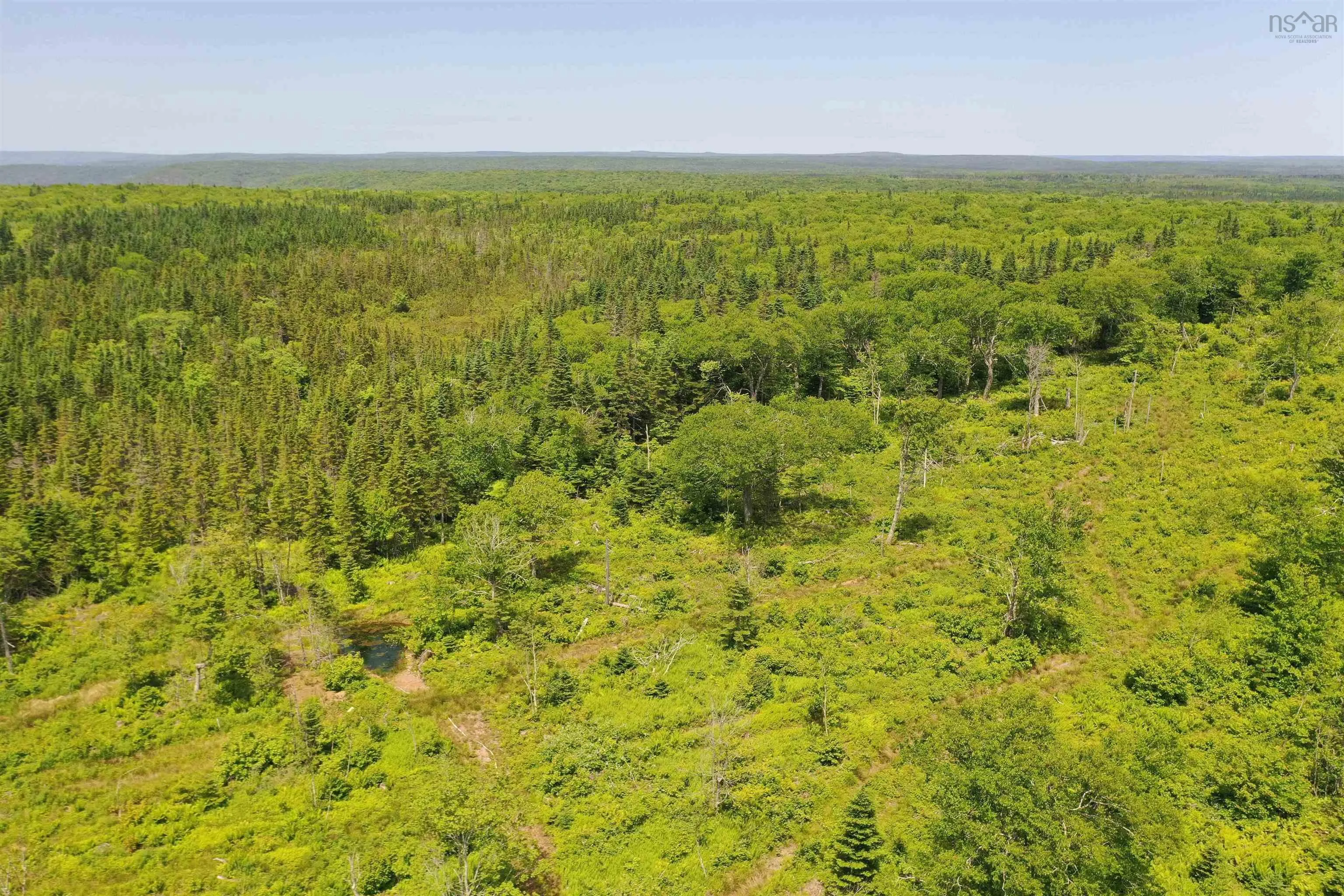 1138 Whycocomagh Mountain Road, Whycocomagh, NS B0E 3M0, ,Land,For Sale,Whycocomagh Mountain,202512124