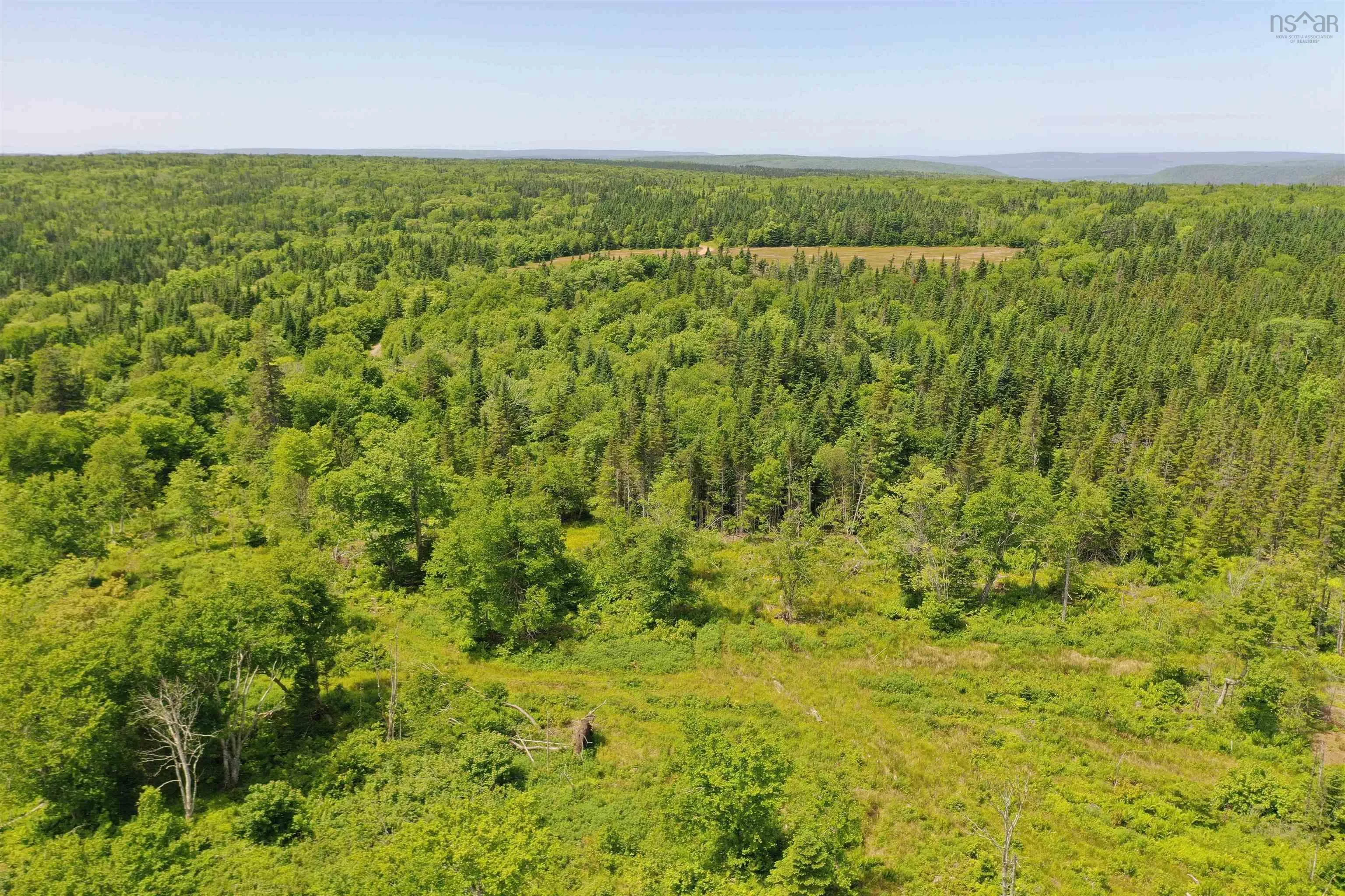 1138 Whycocomagh Mountain Road, Whycocomagh, NS B0E 3M0, ,Land,For Sale,Whycocomagh Mountain,202512124