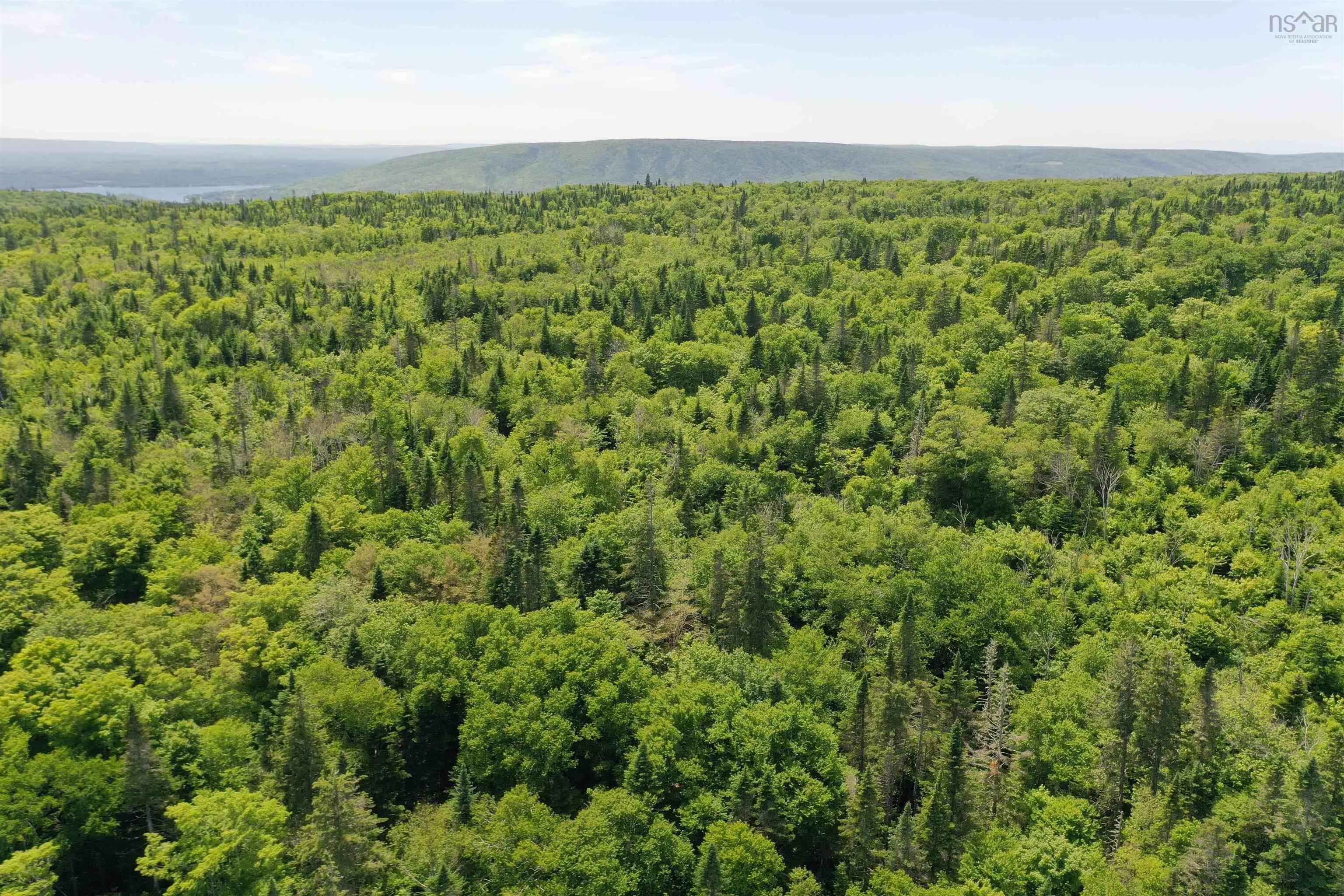 1138 Whycocomagh Mountain Road, Whycocomagh, NS B0E 3M0, ,Land,For Sale,Whycocomagh Mountain,202512124