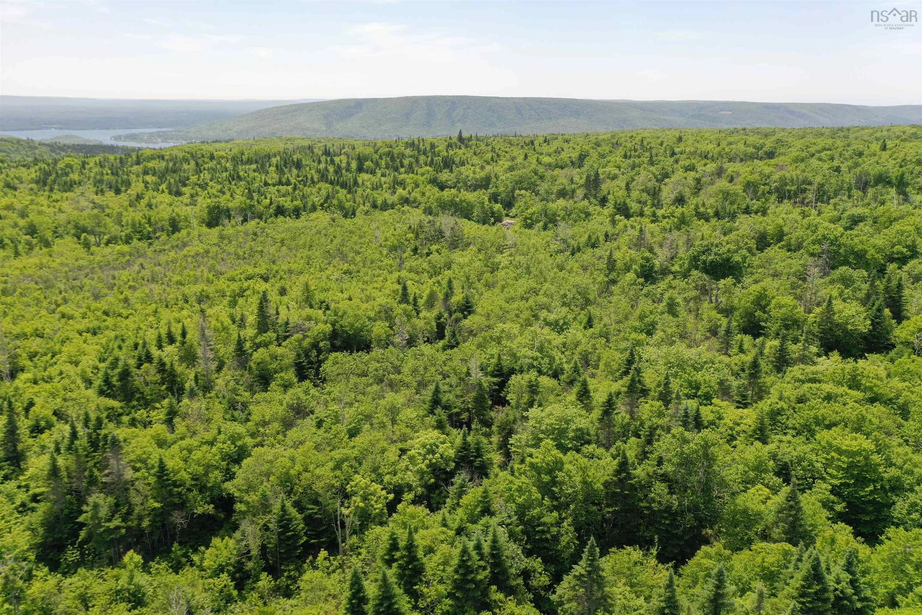 1138 Whycocomagh Mountain Road, Whycocomagh, NS B0E 3M0, ,Land,For Sale,Whycocomagh Mountain,202512124