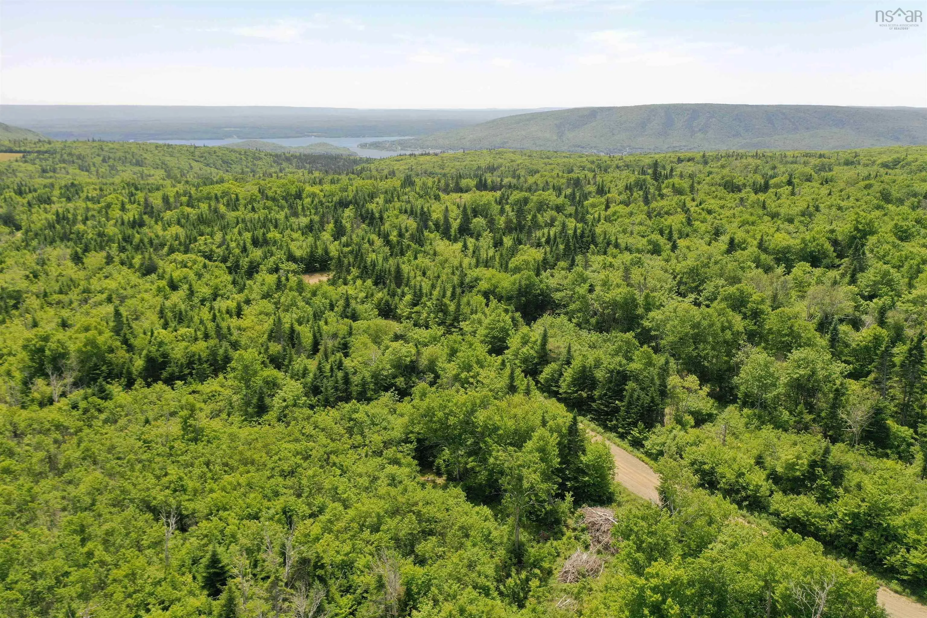 1138 Whycocomagh Mountain Road, Whycocomagh, NS B0E 3M0, ,Land,For Sale,Whycocomagh Mountain,202512124