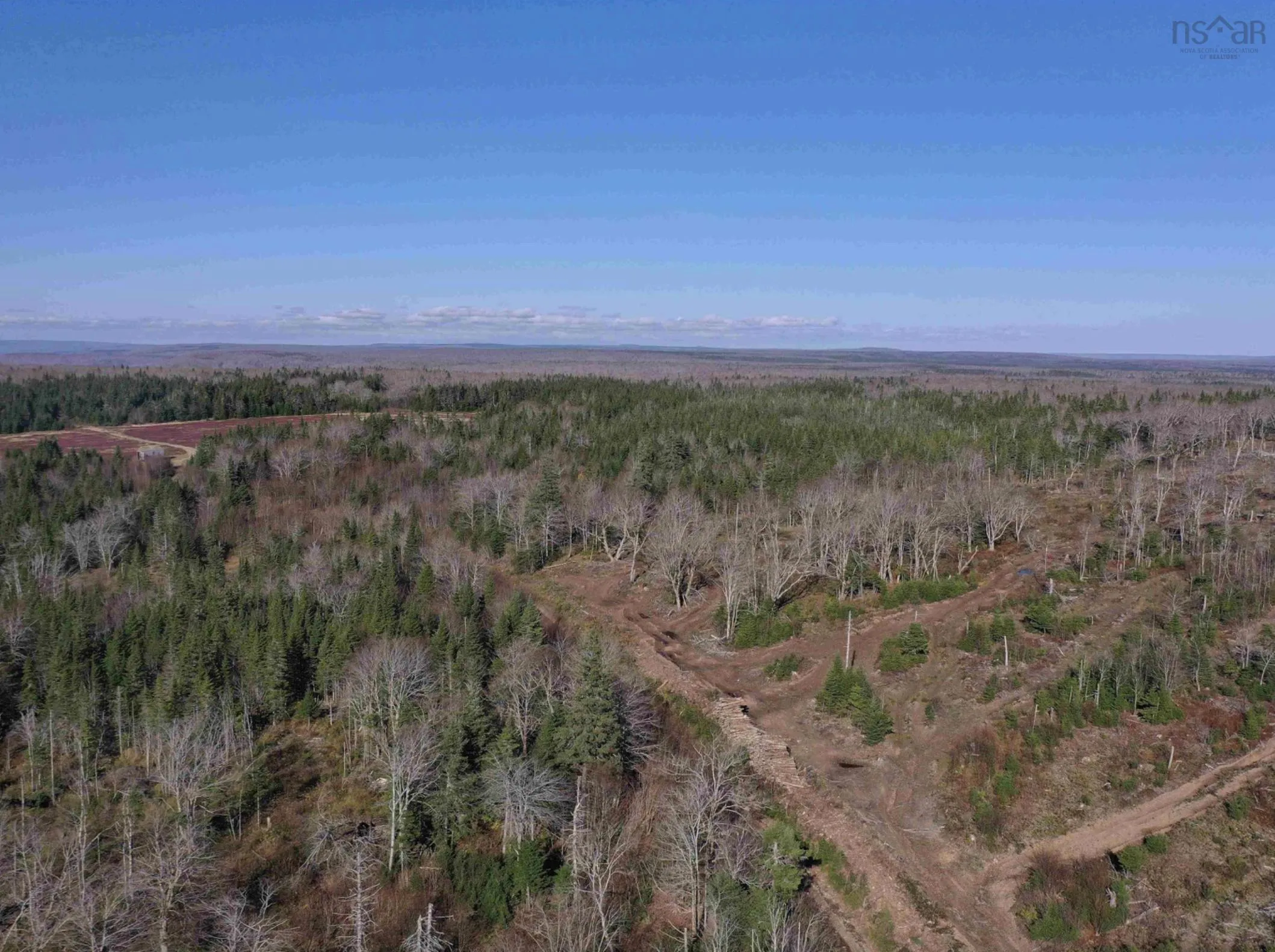 1138 Whycocomagh Mountain Road, Whycocomagh, NS B0E 3M0, ,Land,For Sale,Whycocomagh Mountain,202512124