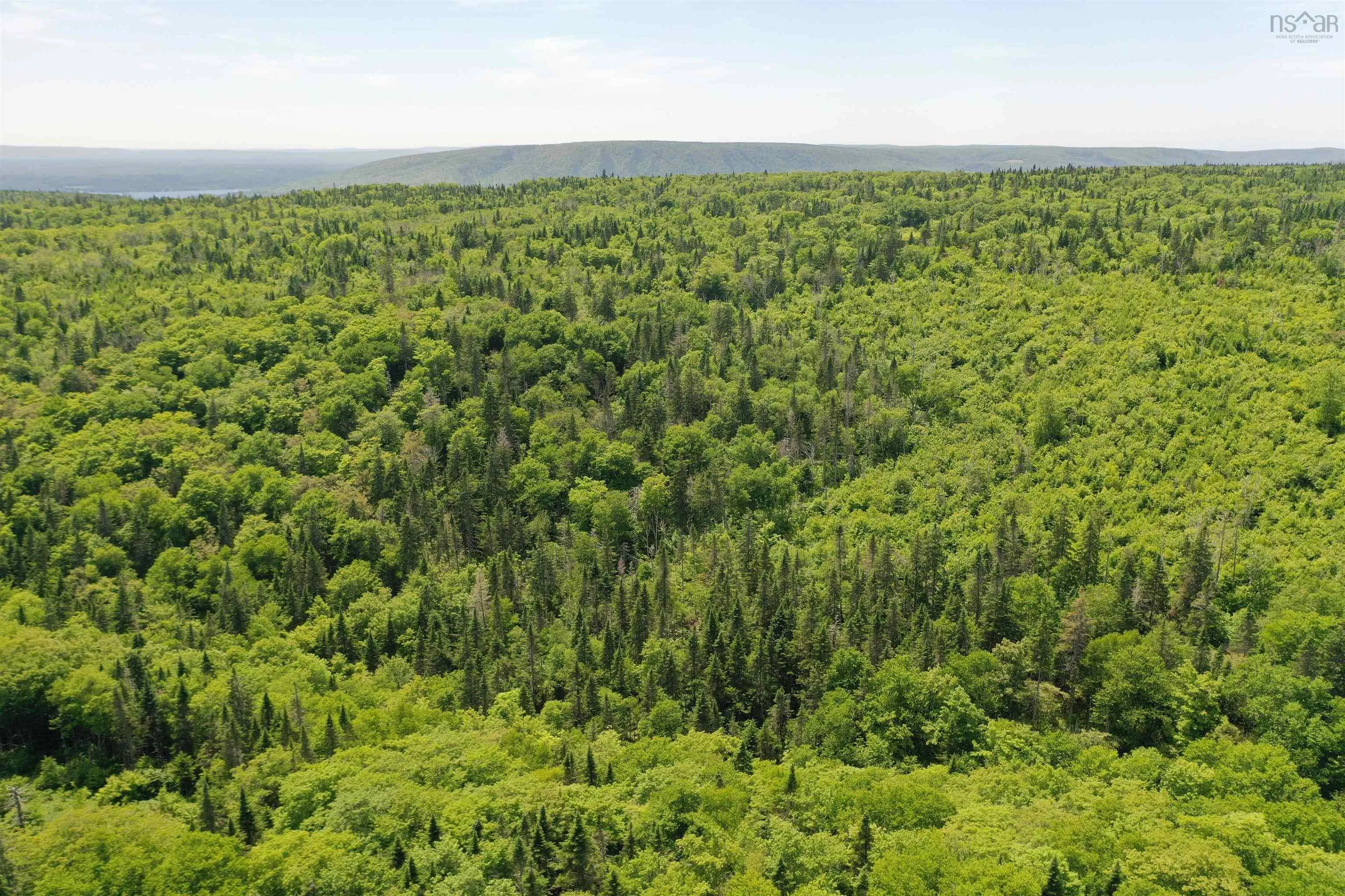 1138 Whycocomagh Mountain Road, Whycocomagh, NS B0E 3M0, ,Land,For Sale,Whycocomagh Mountain,202512124