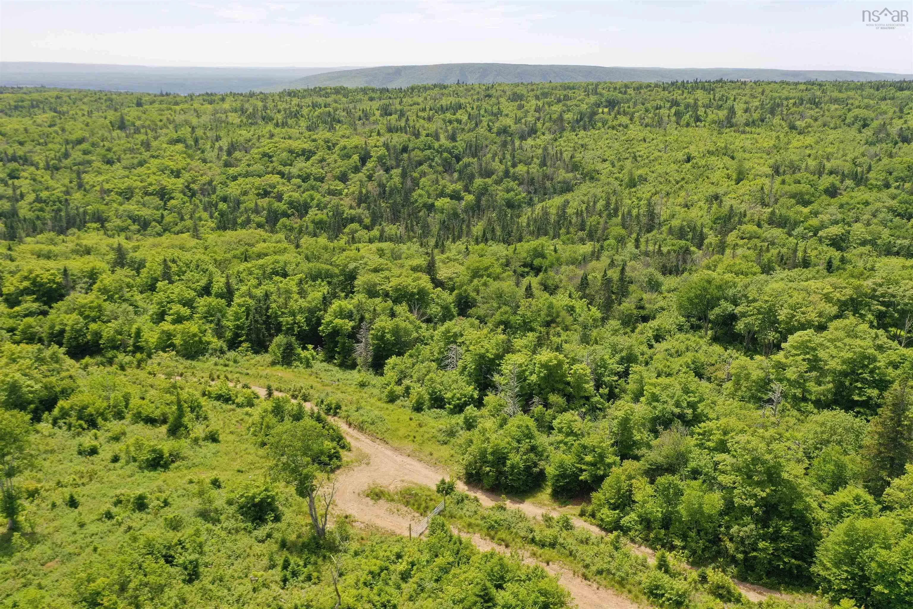 1138 Whycocomagh Mountain Road, Whycocomagh, NS B0E 3M0, ,Land,For Sale,Whycocomagh Mountain,202512124