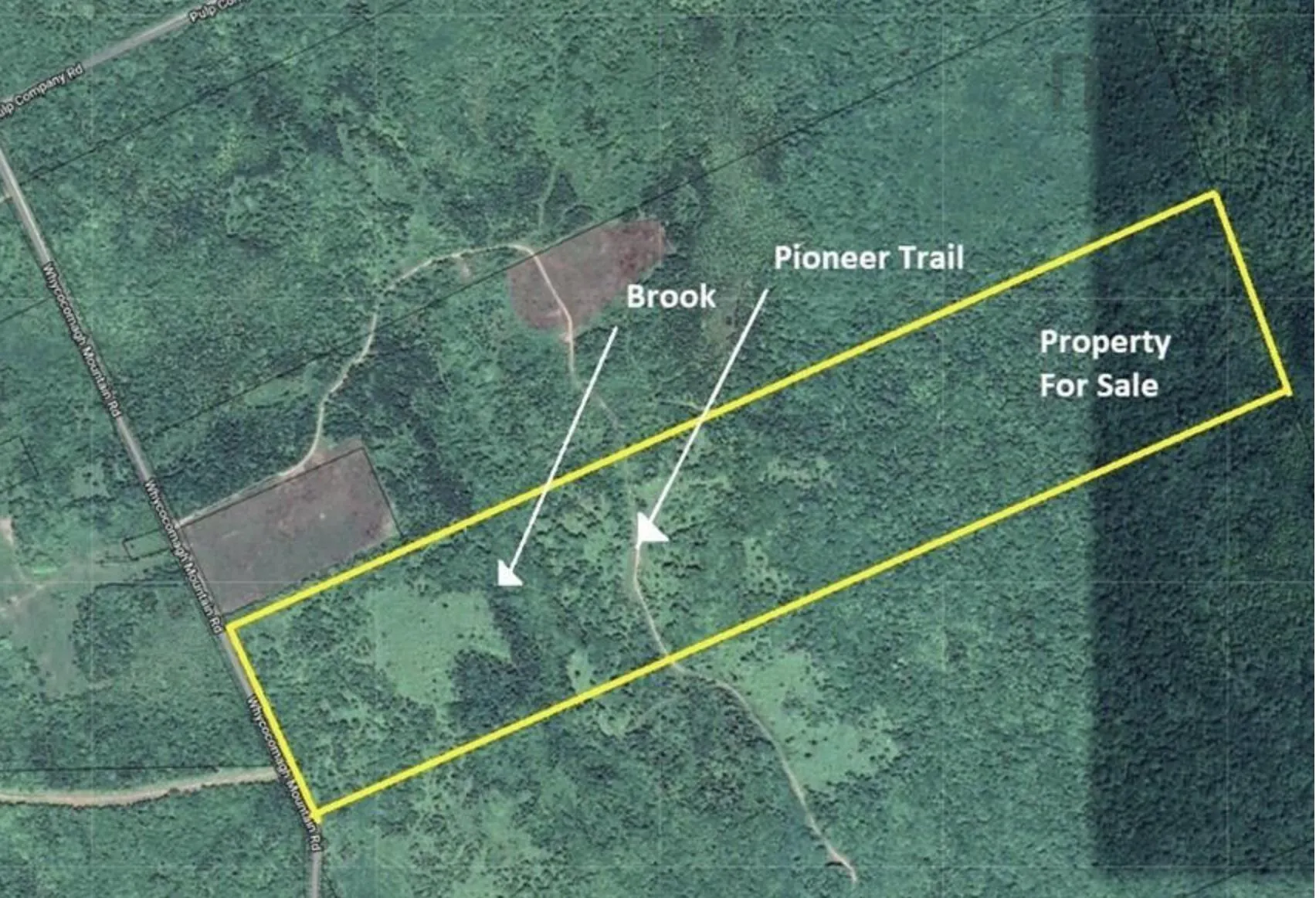 1138 Whycocomagh Mountain Road, Whycocomagh, NS B0E 3M0, ,Land,For Sale,Whycocomagh Mountain,202512124