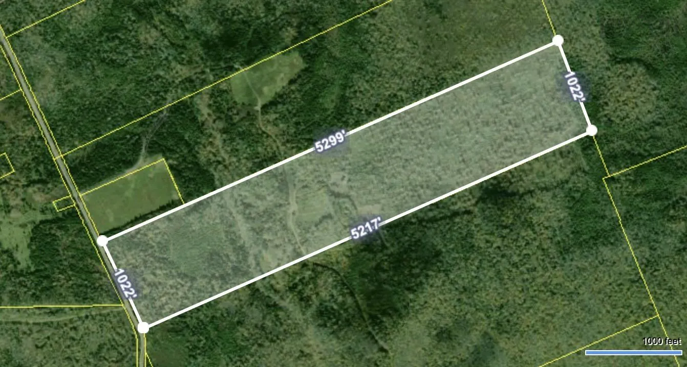 1138 Whycocomagh Mountain Road, Whycocomagh, NS B0E 3M0, ,Land,For Sale,Whycocomagh Mountain,202512124