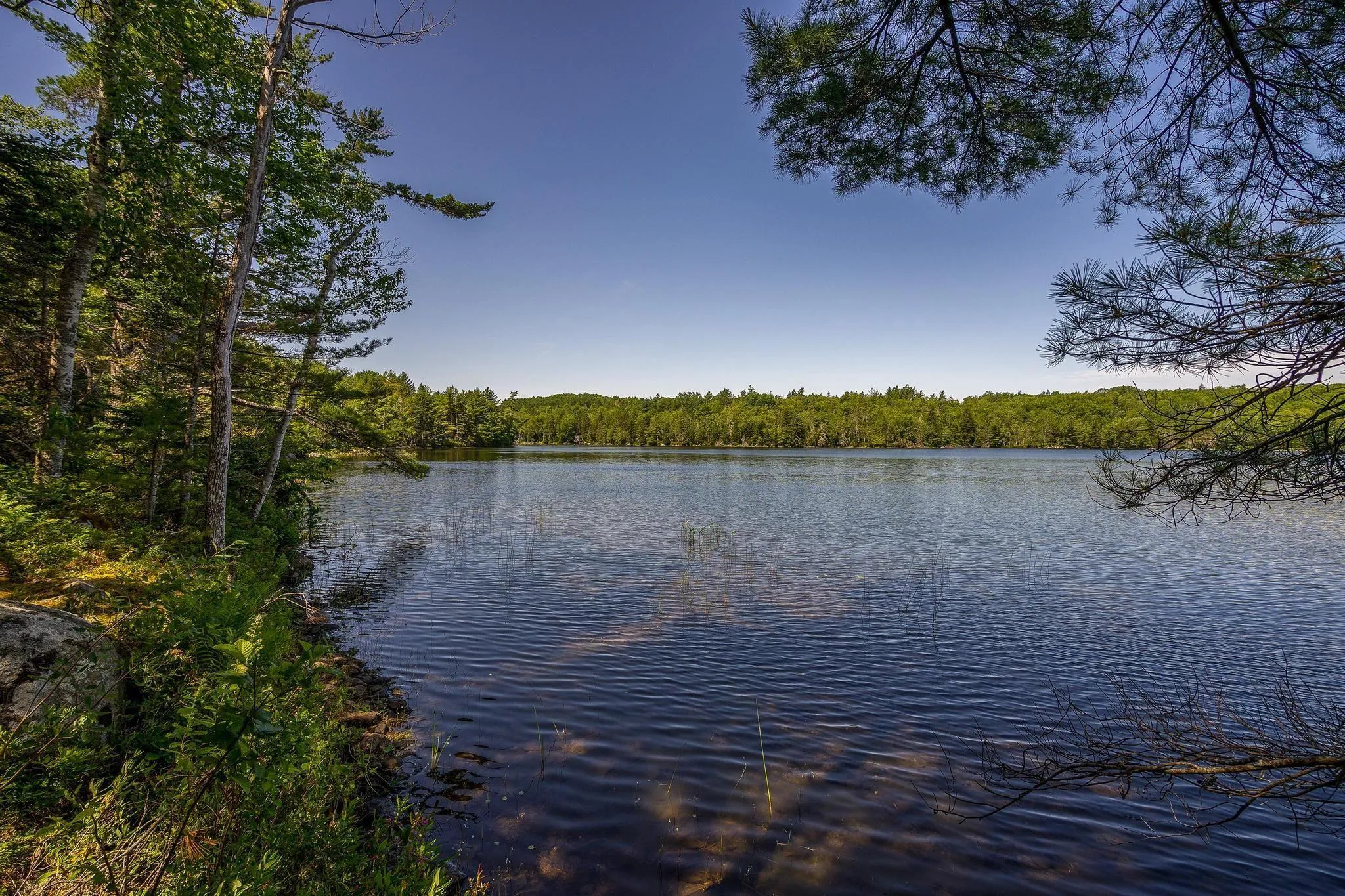 241 Bill Berry Road, Princedale, NS B0S 1G0, ,Residential,For Sale,Bill Berry,202517709
