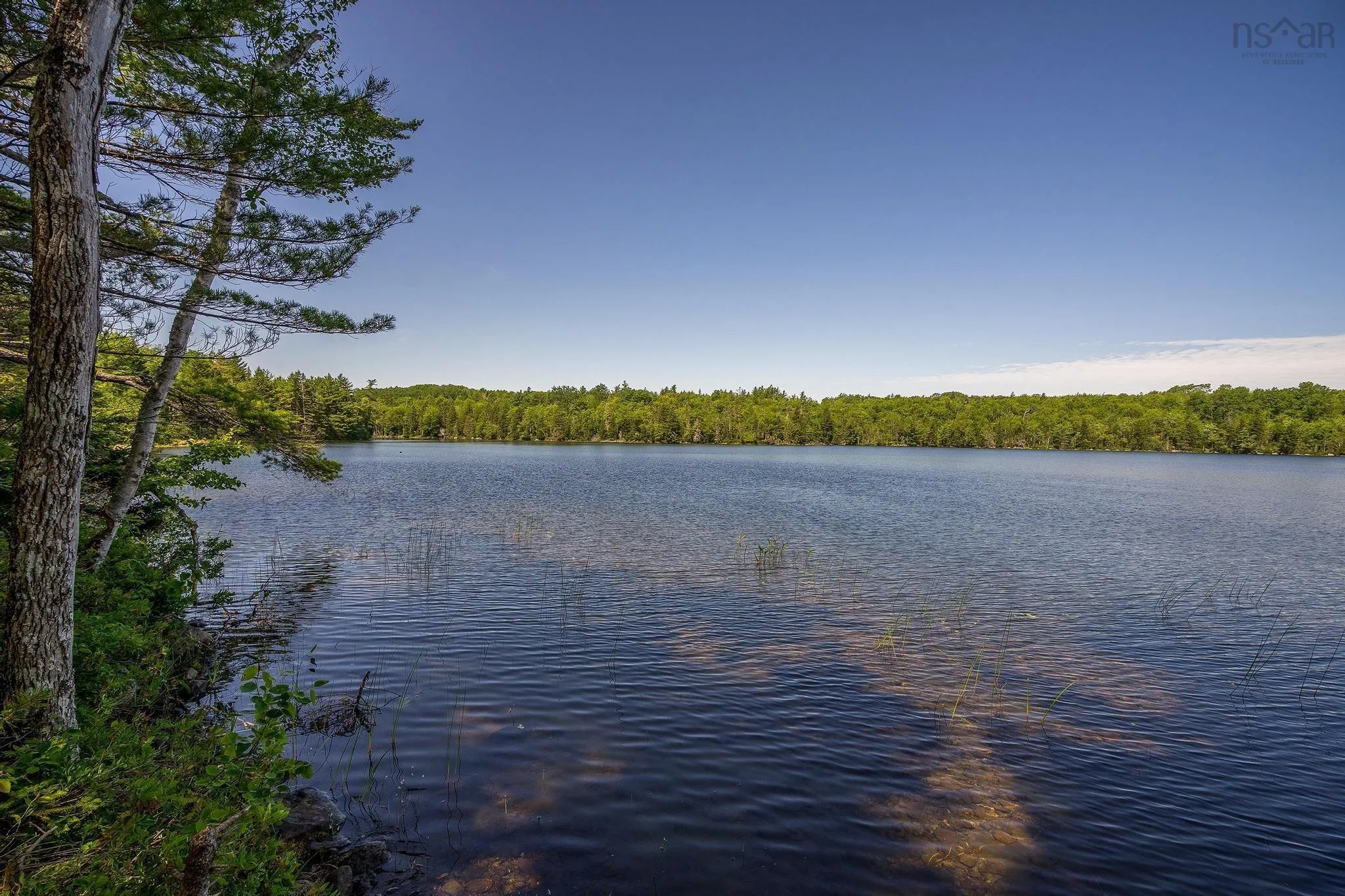 241 Bill Berry Road, Princedale, NS B0S 1G0, ,Residential,For Sale,Bill Berry,202517709