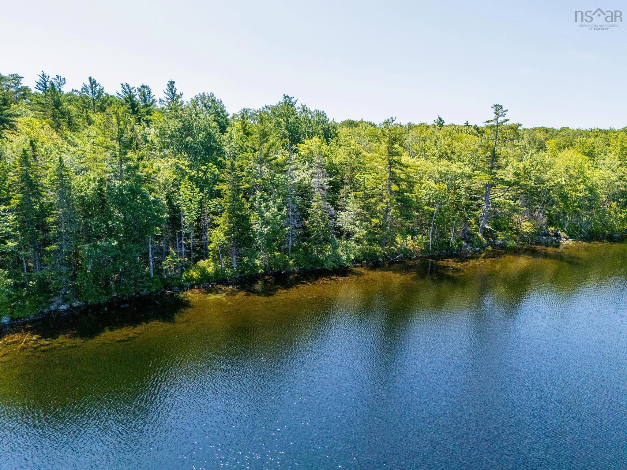 241 Bill Berry Road, Princedale, NS B0S 1G0, ,Residential,For Sale,Bill Berry,202517709