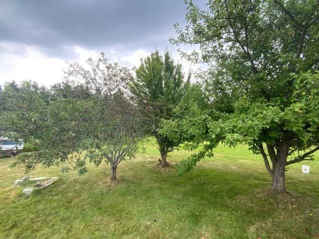 5863 Highway 16, Queensport, NS B0H 1N0, 3 Bedrooms Bedrooms, ,1 BathroomBathrooms,Residential,For Sale,Highway 16 Queensport,202520230