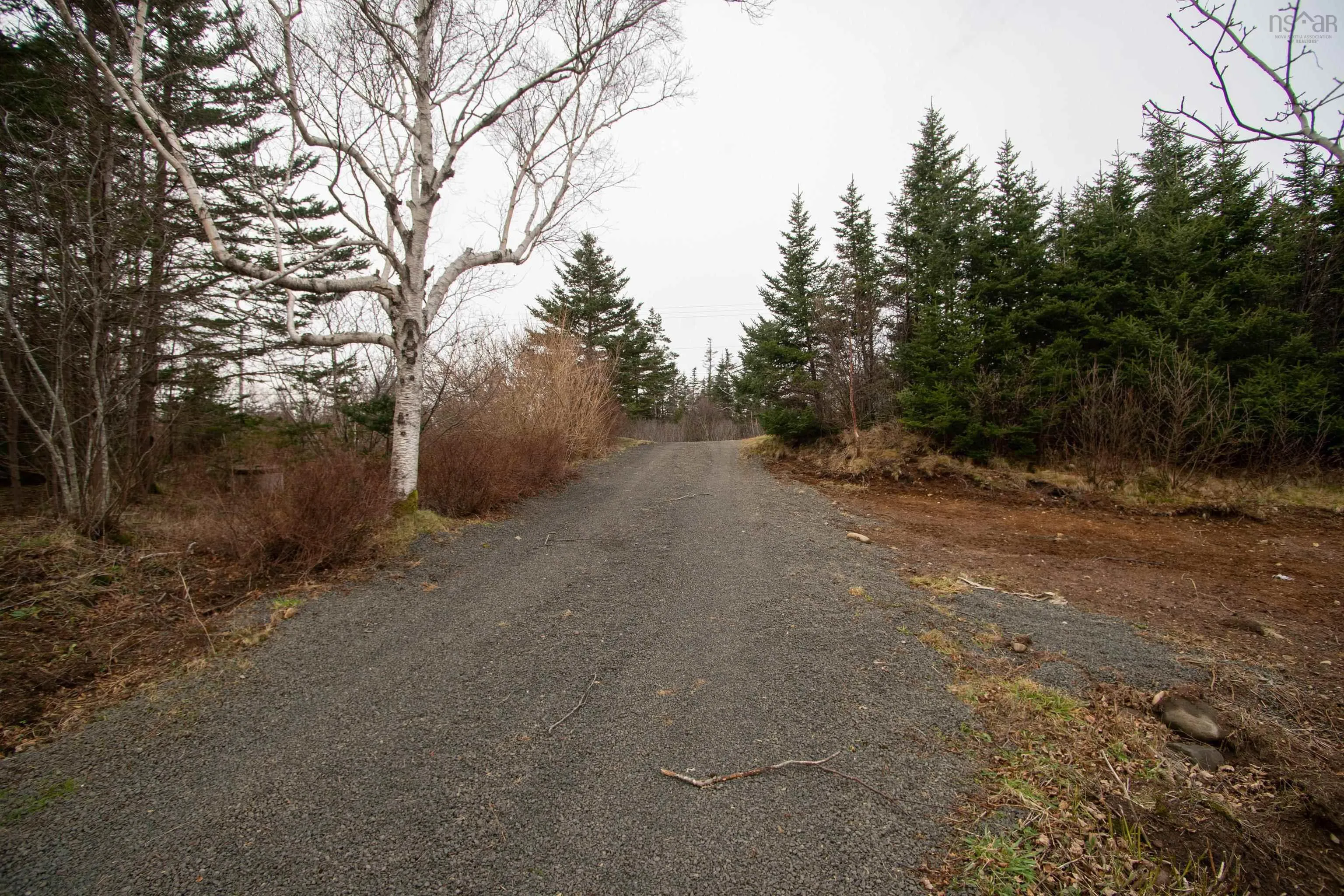 972 Highway 217, Freeport Ns B0v 1g0, 2 Bedrooms Bedrooms, ,1 BathroomBathrooms,Residential,For Sale,Highway 217,202401240
