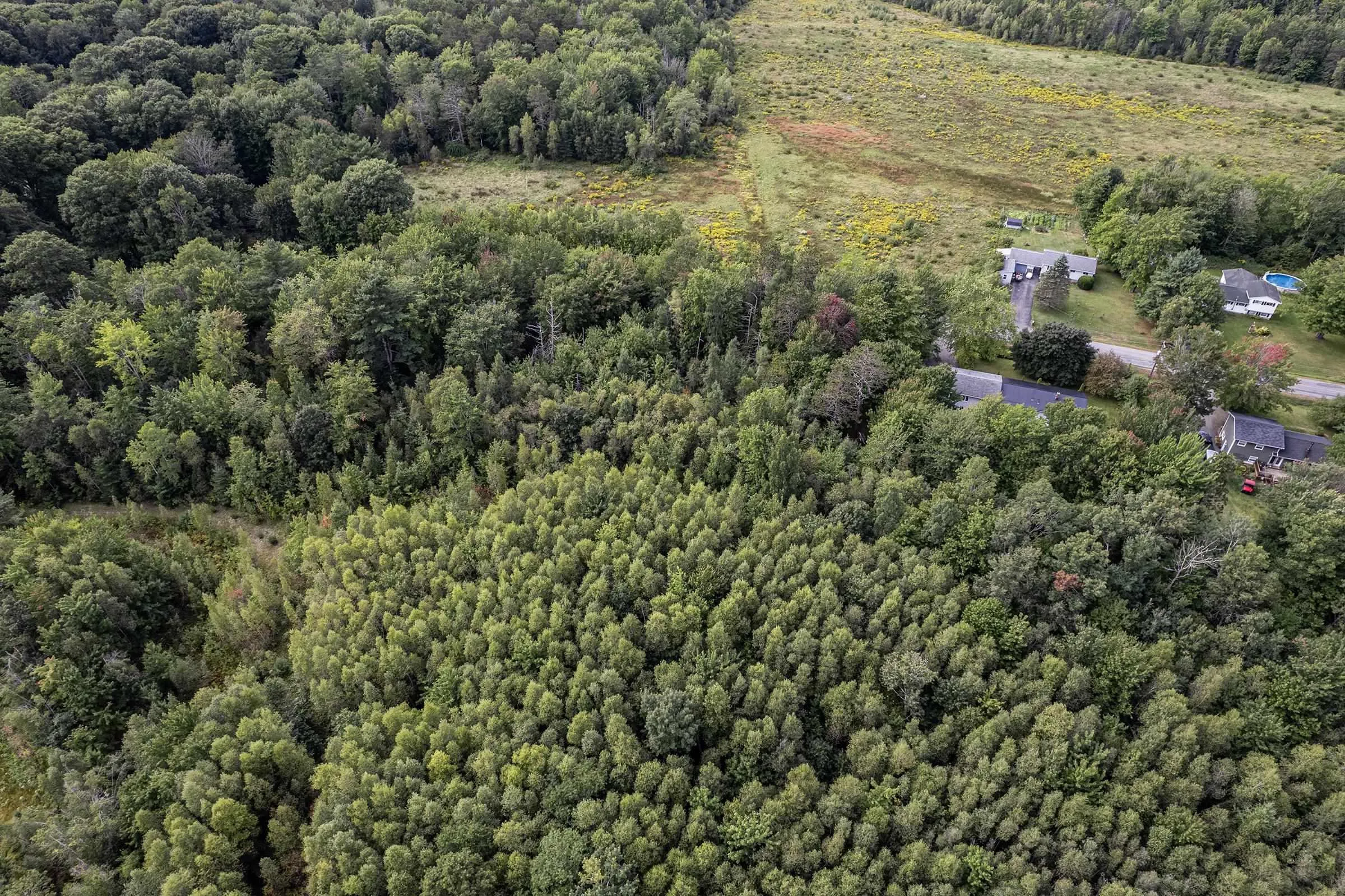 South Bishop Road Lot 2a, Coldbrook Ns B4r 1b6, ,Land,For Sale,South Bishop,202421891