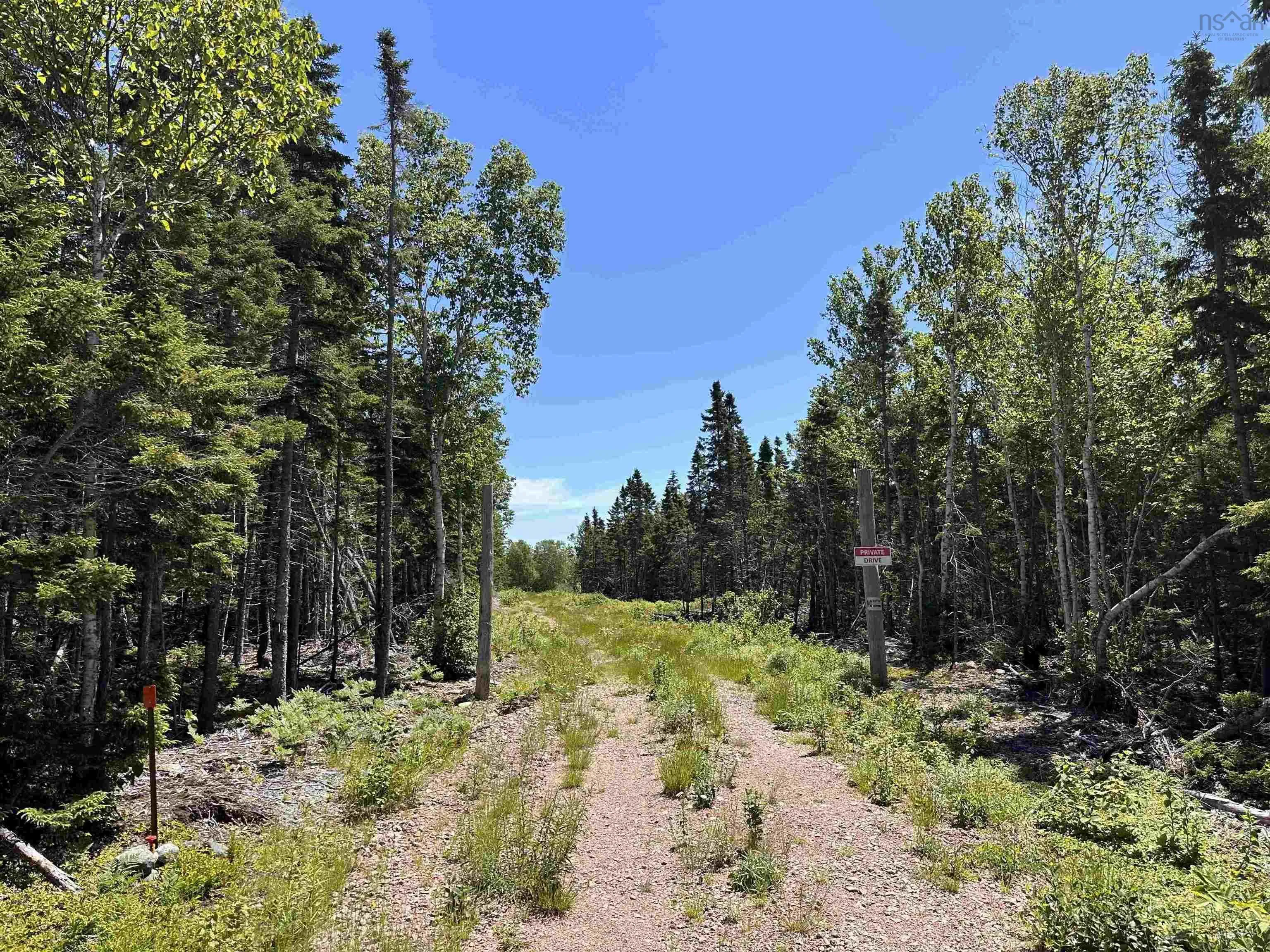 Lot 02-2 Cabot Trail, Birch Plain NS B0C 1H0, ,Land,For Sale,Cabot,202400870