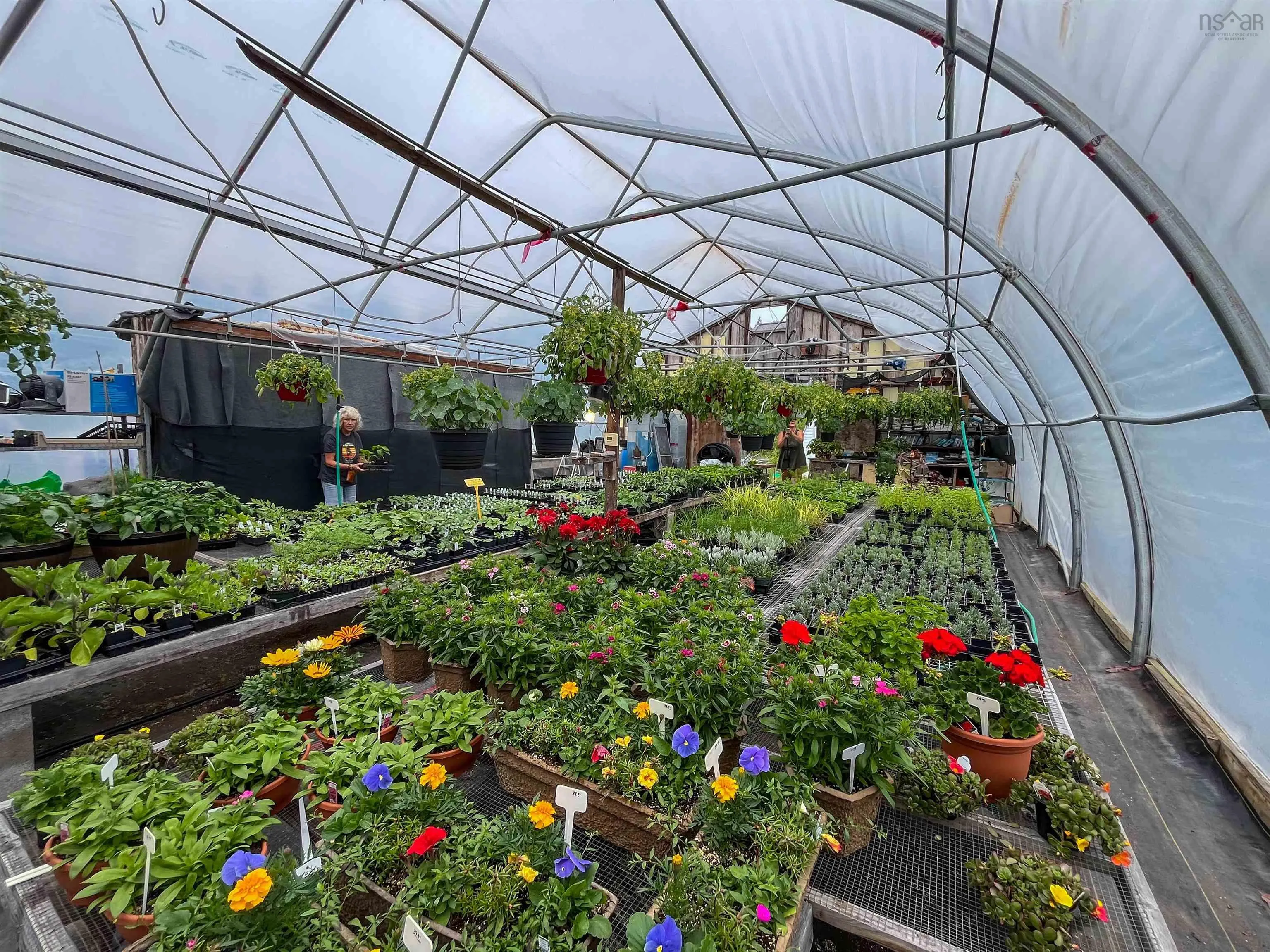 9651 Grenville Street, St. Peters, NS B0E 3B0, ,Commercial Sale,For Sale,Grenville,202515353