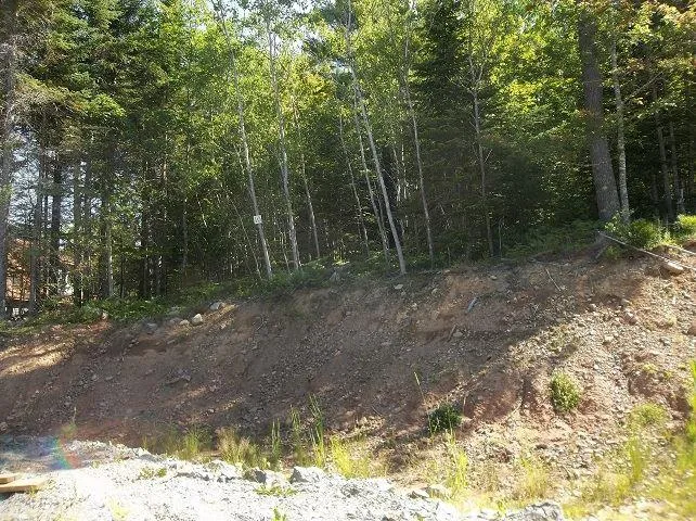 6004 Trunk 1 Highway, Ellershouse, NS B0N 1L0, ,Land,For Sale,Trunk 1,202518087