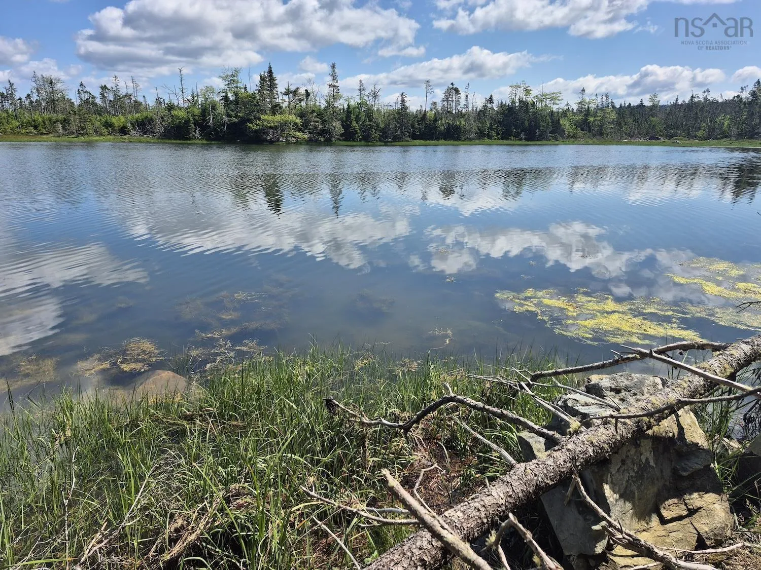 204 Westside Inlet Drive, West Petpeswick, NS B0J 2L0, ,Land,For Sale,Westside Inlet,202517757