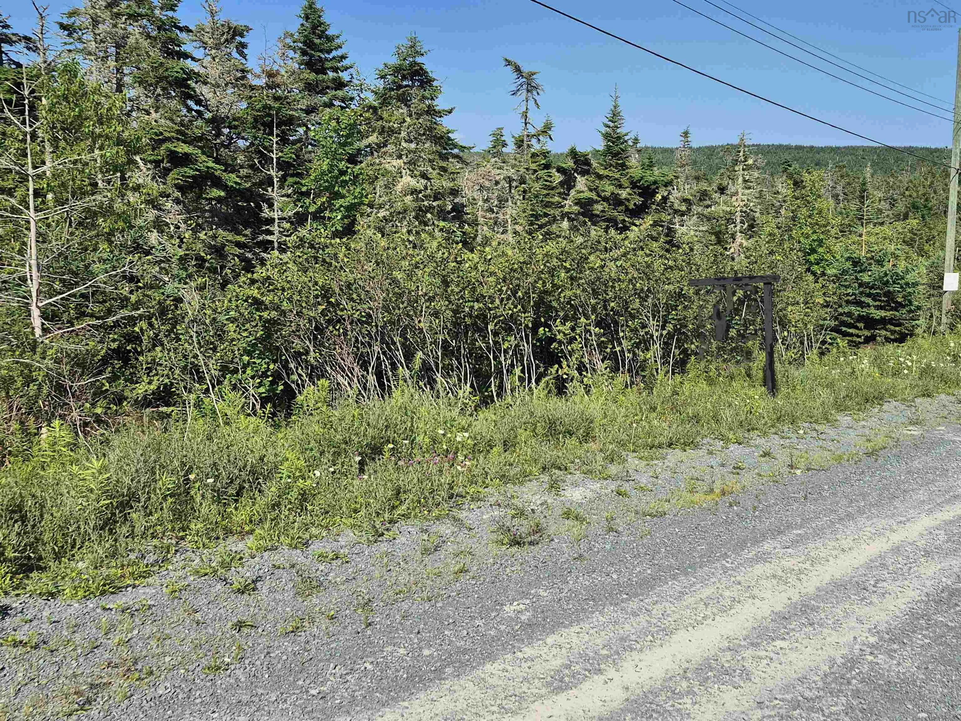 204 Westside Inlet Drive, West Petpeswick, NS B0J 2L0, ,Land,For Sale,Westside Inlet,202517757