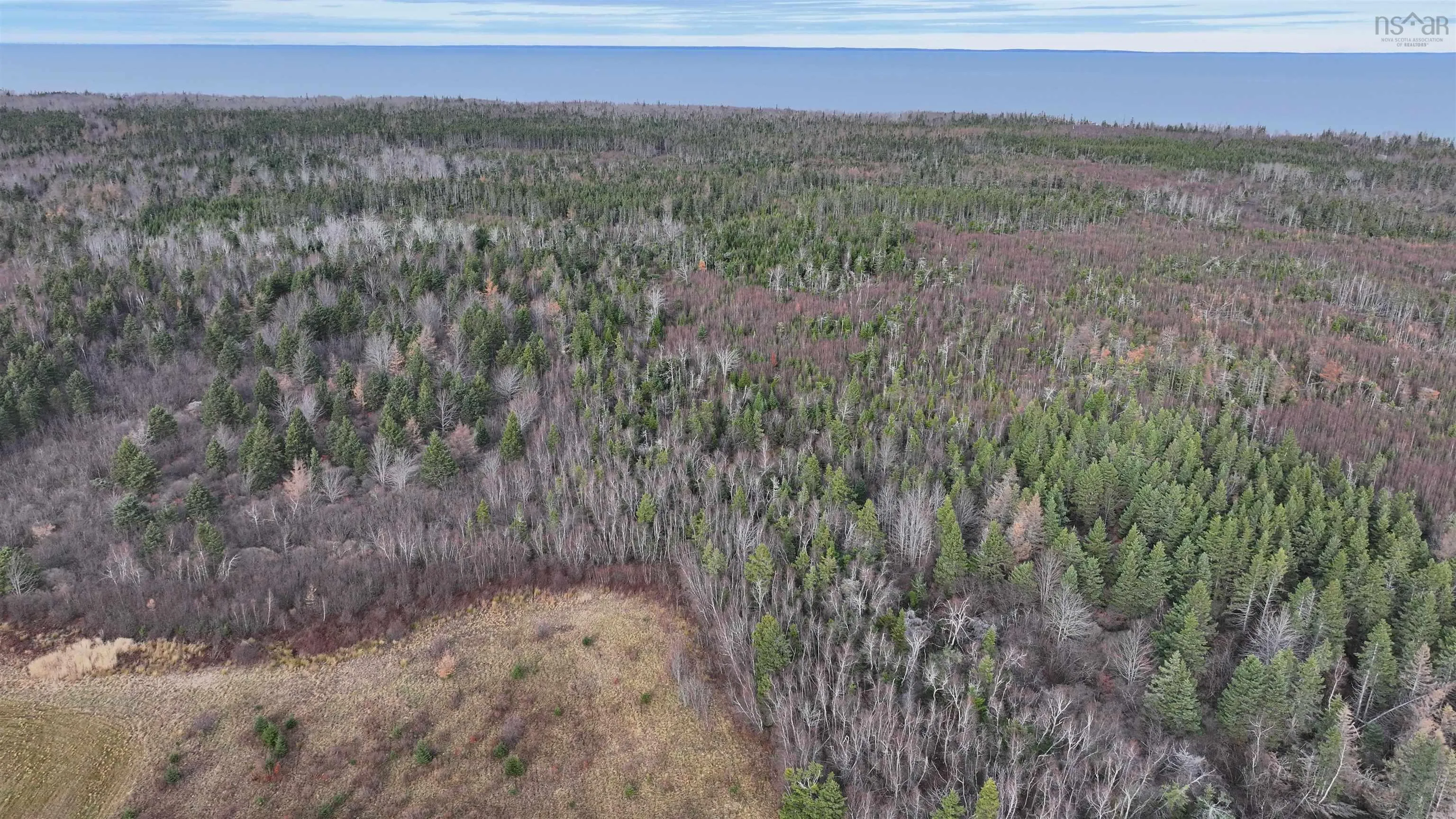 1659 Fox Harbour Road, Fox Harbour Ns B0k 1y0, ,Land,For Sale,Fox Harbour,202415279