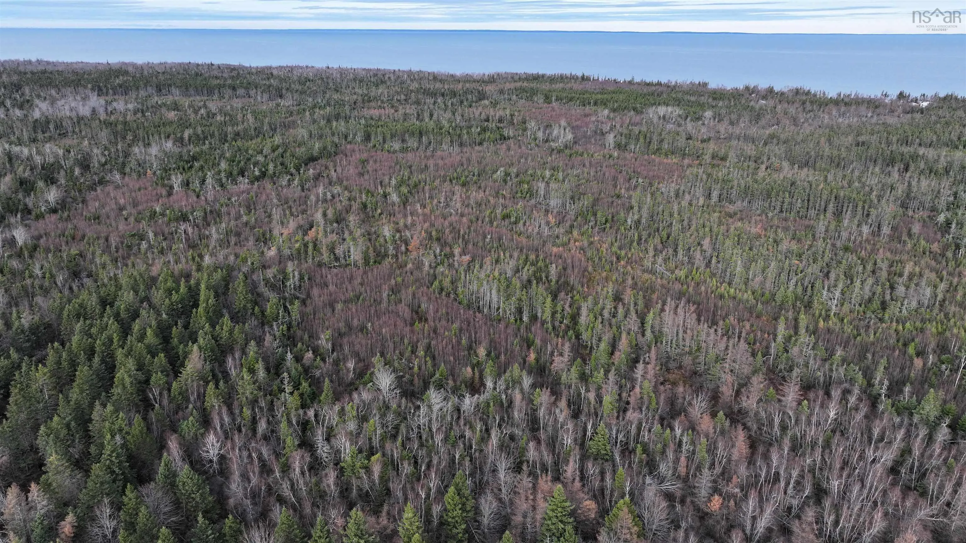 1659 Fox Harbour Road, Fox Harbour Ns B0k 1y0, ,Land,For Sale,Fox Harbour,202415279