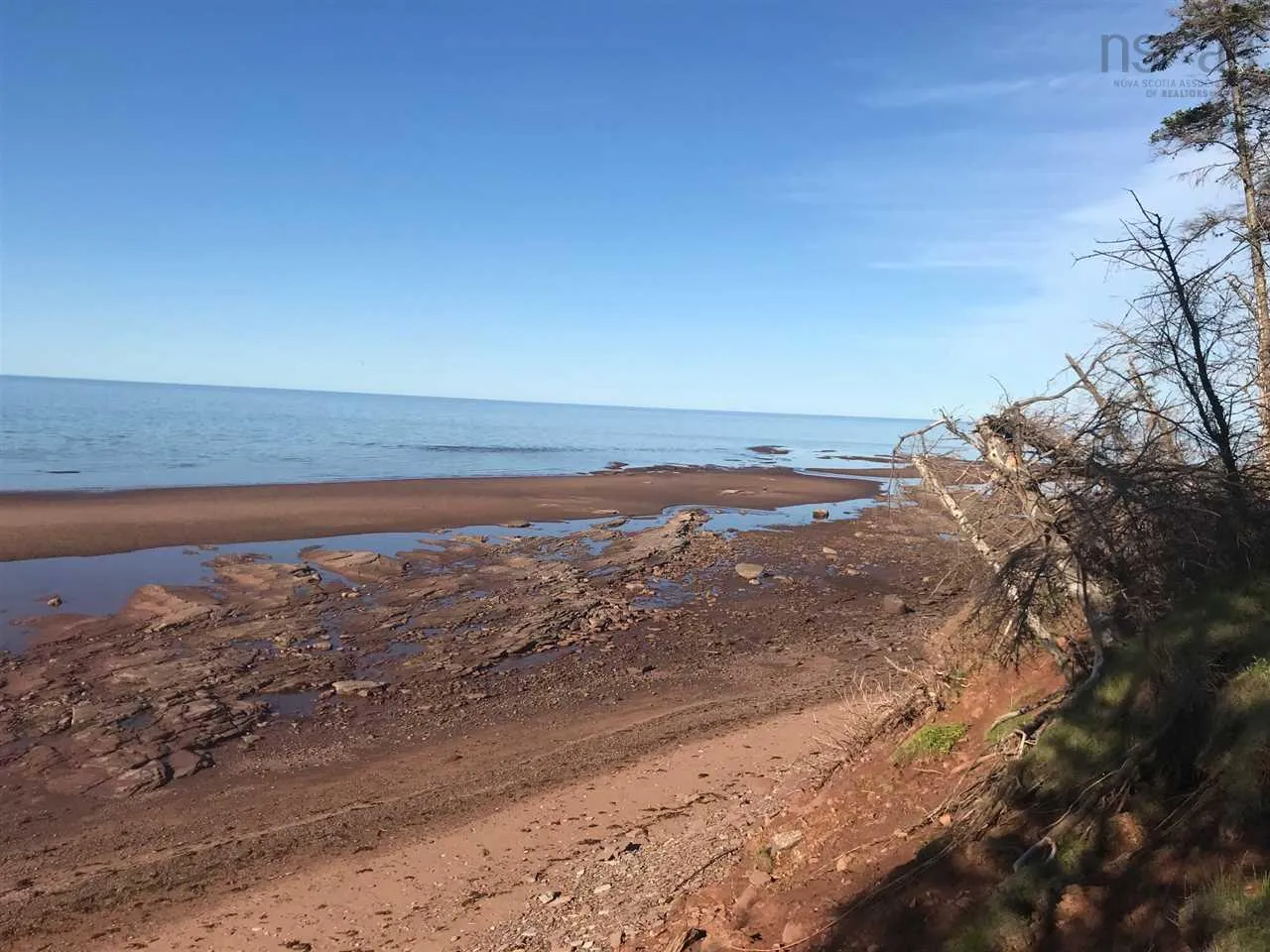 1659 Fox Harbour Road, Fox Harbour Ns B0k 1y0, ,Land,For Sale,Fox Harbour,202415279