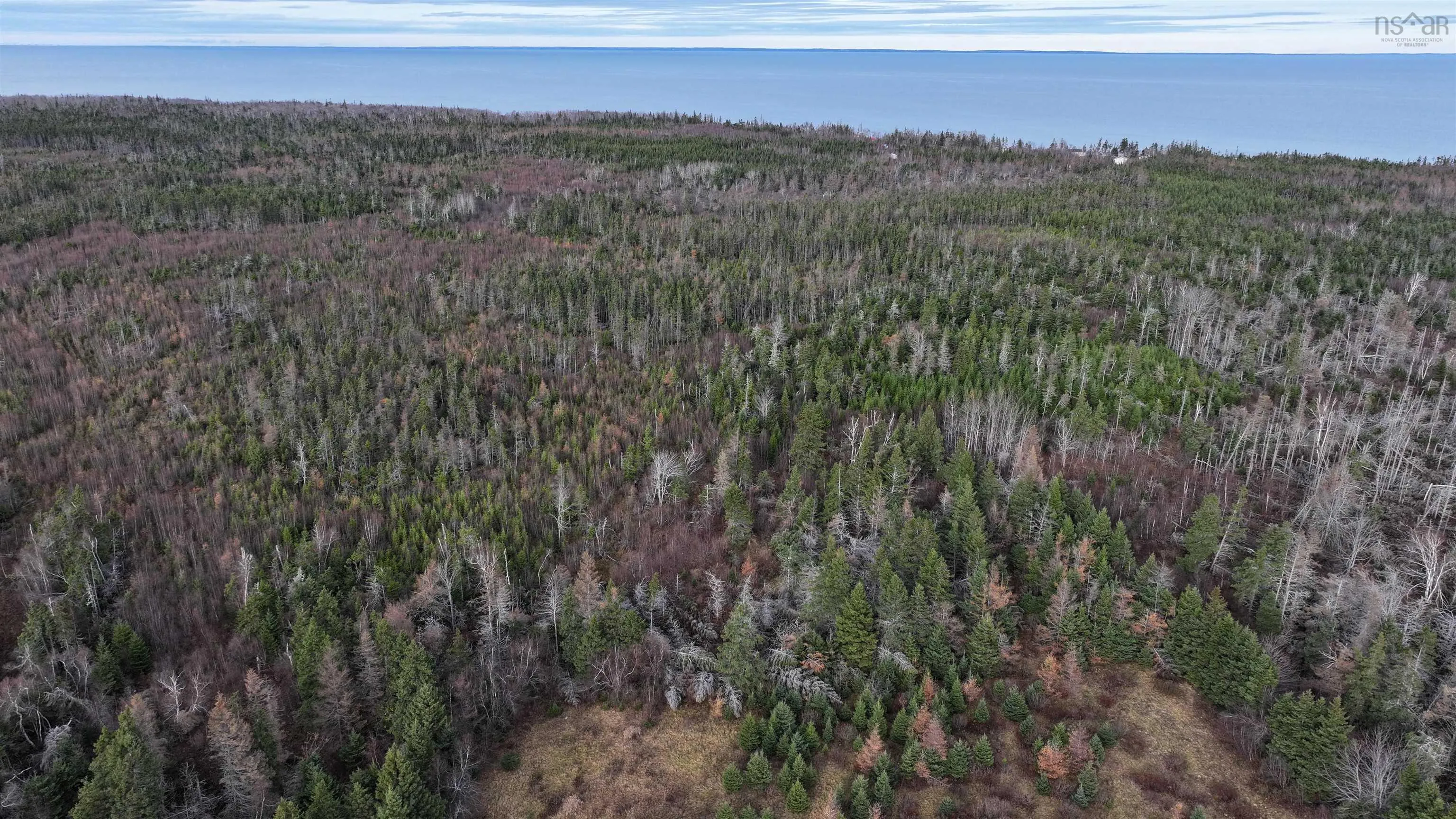 1659 Fox Harbour Road, Fox Harbour Ns B0k 1y0, ,Land,For Sale,Fox Harbour,202415279