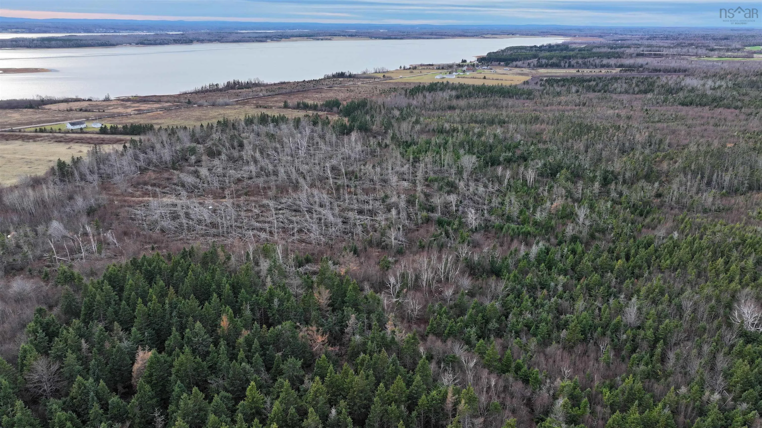 1659 Fox Harbour Road, Fox Harbour Ns B0k 1y0, ,Land,For Sale,Fox Harbour,202415279