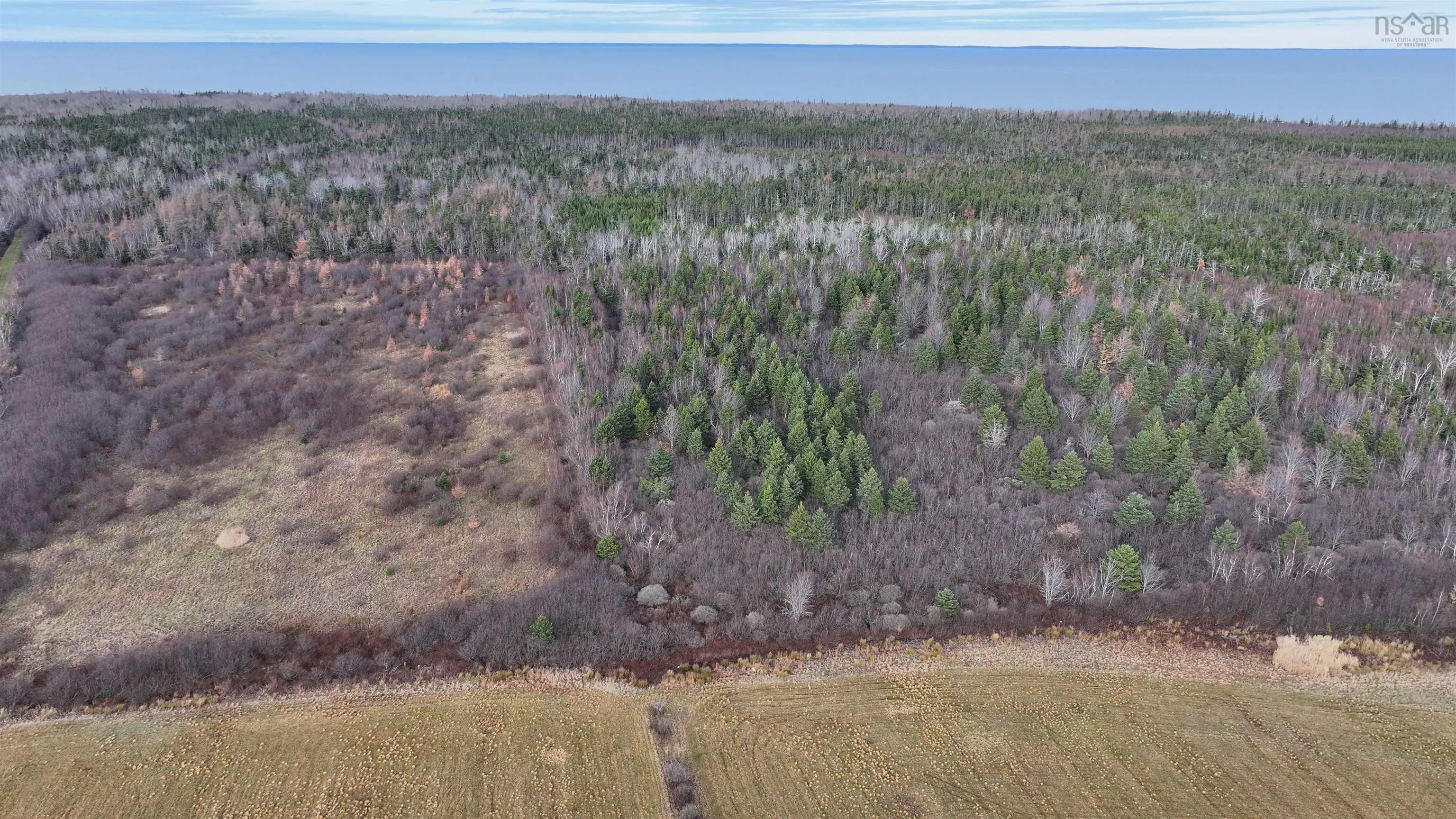 1659 Fox Harbour Road, Fox Harbour Ns B0k 1y0, ,Land,For Sale,Fox Harbour,202415279