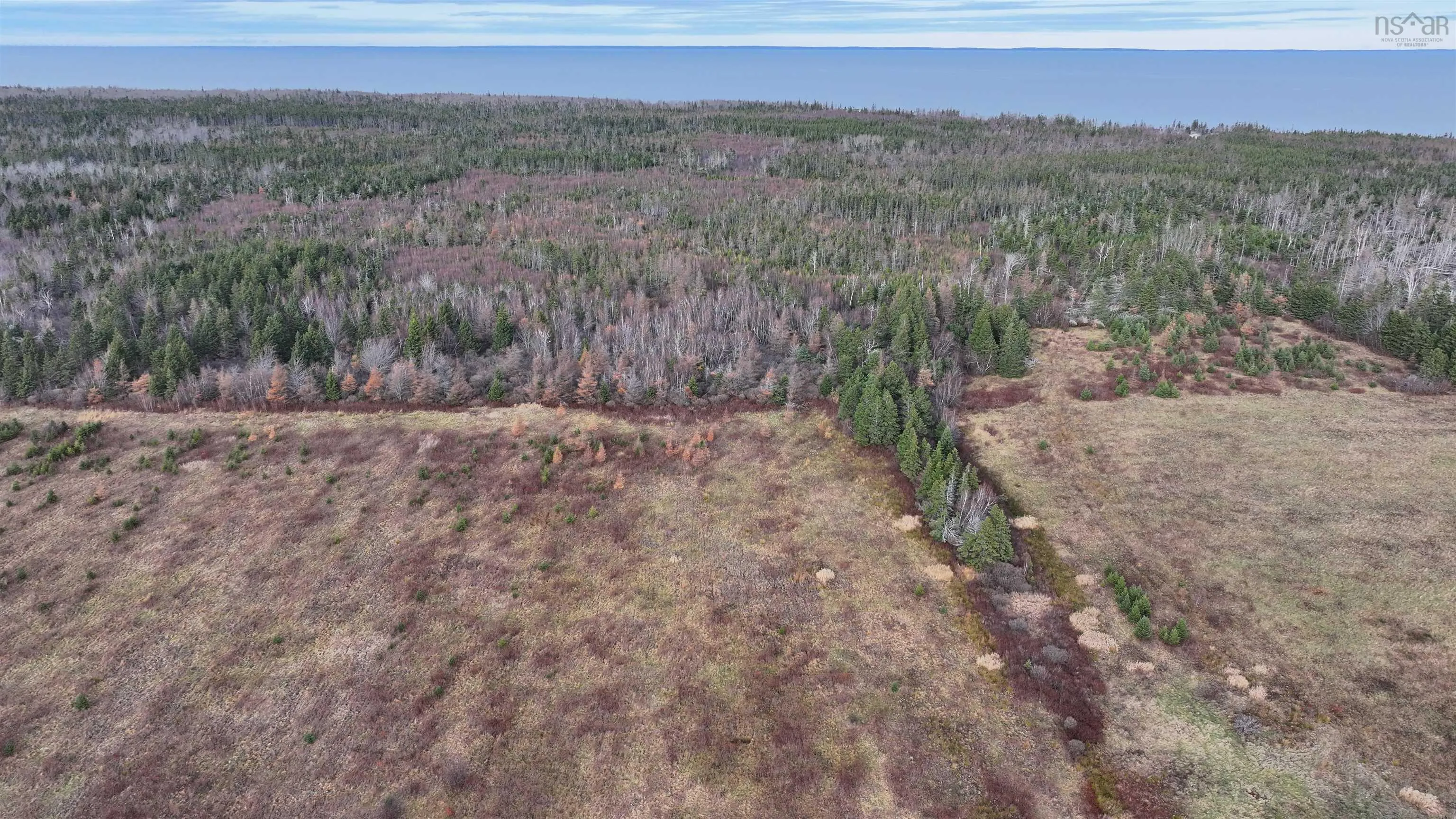 1659 Fox Harbour Road, Fox Harbour Ns B0k 1y0, ,Land,For Sale,Fox Harbour,202415279