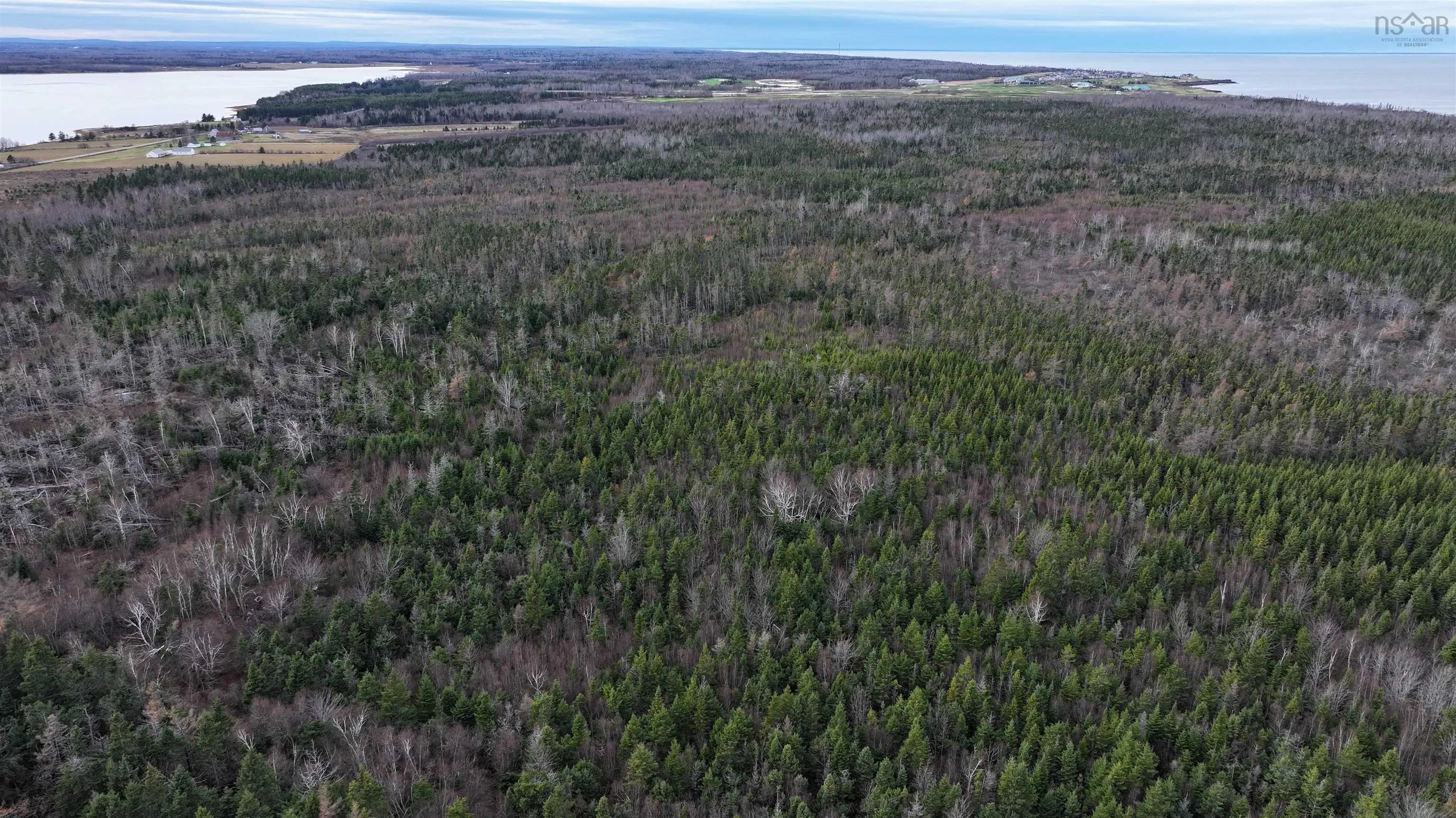 1659 Fox Harbour Road, Fox Harbour Ns B0k 1y0, ,Land,For Sale,Fox Harbour,202415279