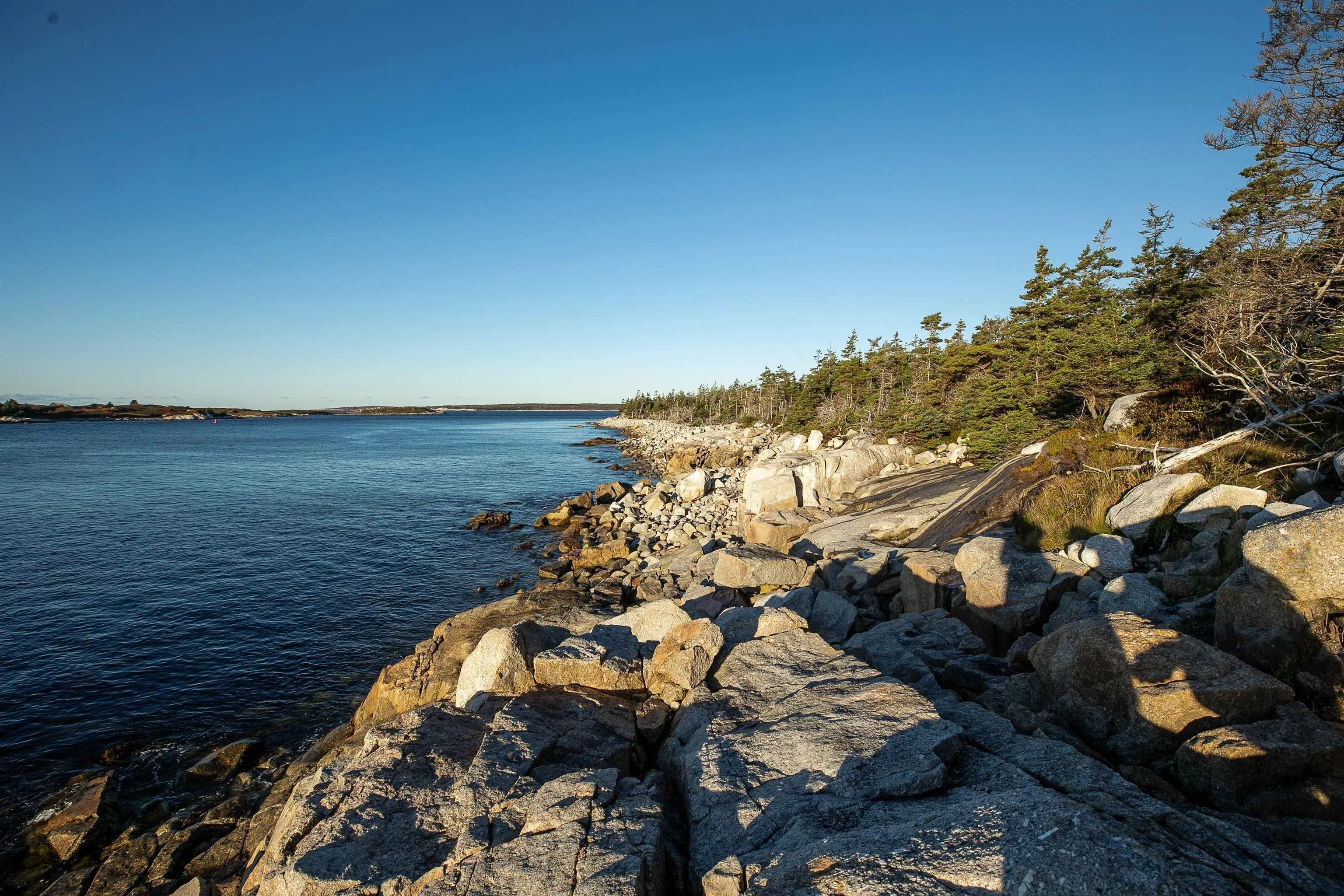 Grant 6932 Bald Rock Road, Bald Rock Ns B3k 1k9, ,Land,For Sale,Bald Rock,202503473