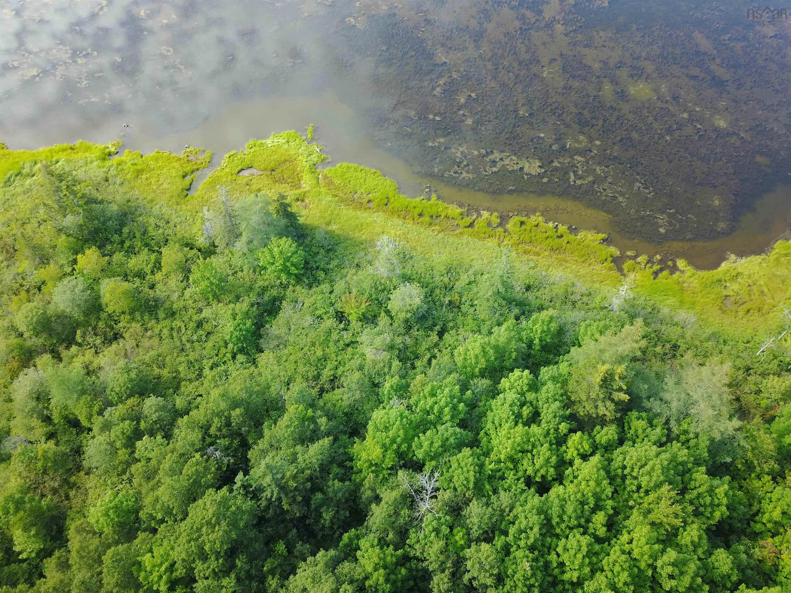 South Cove Road, South Cove Ns B0e 1t0, ,Land,For Sale,South Cove,202508087